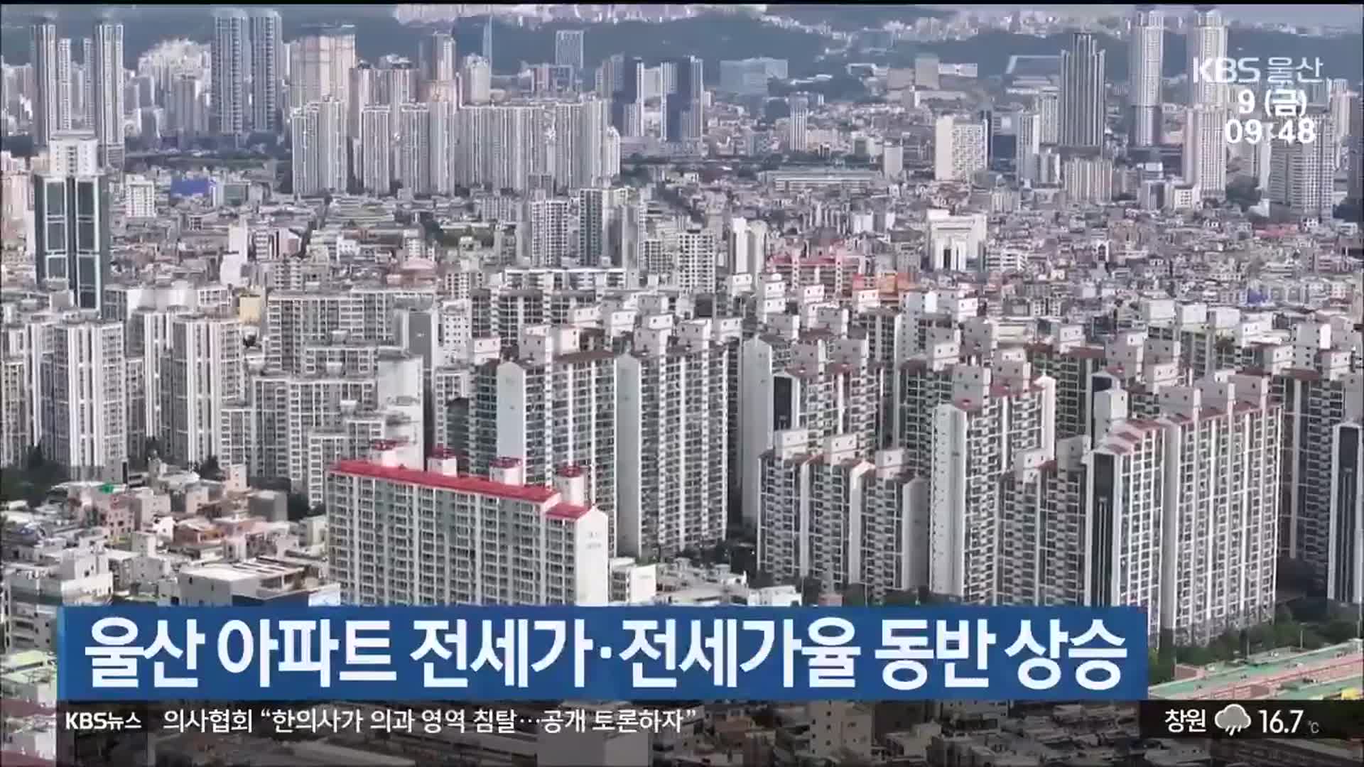 울산 아파트 전세가·전세가율 동반 상승
