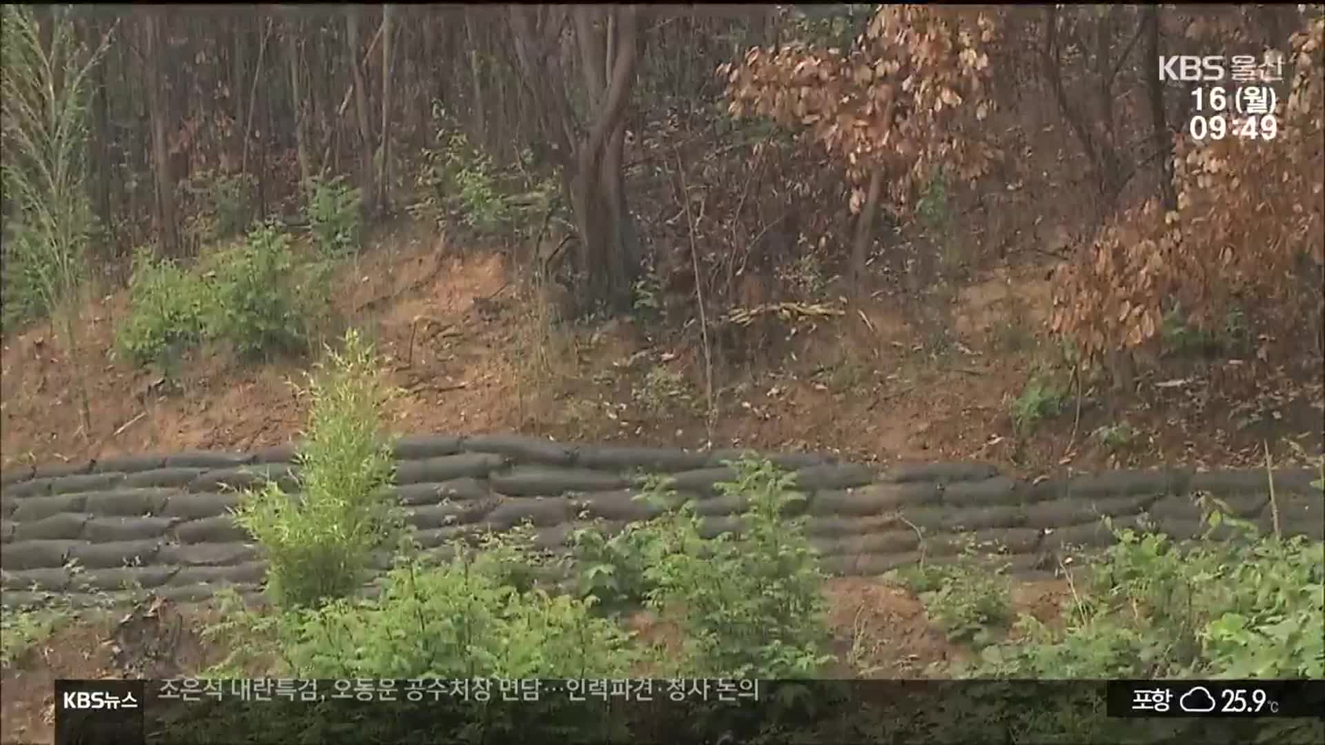 산사태에 침수 위험…장마철 재난 대비는?
