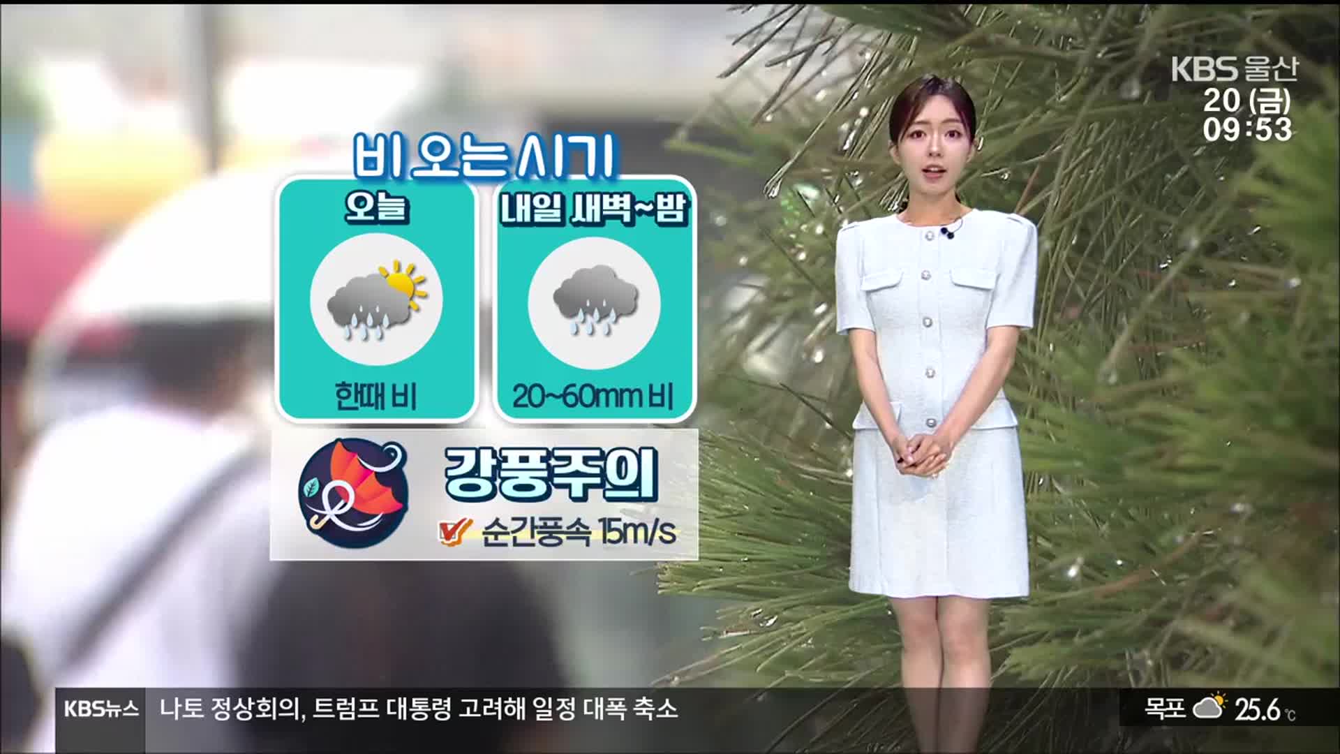 [날씨] 울산 비 시작…내일 밤까지 강풍 동반 ‘최대 60mm’ 비