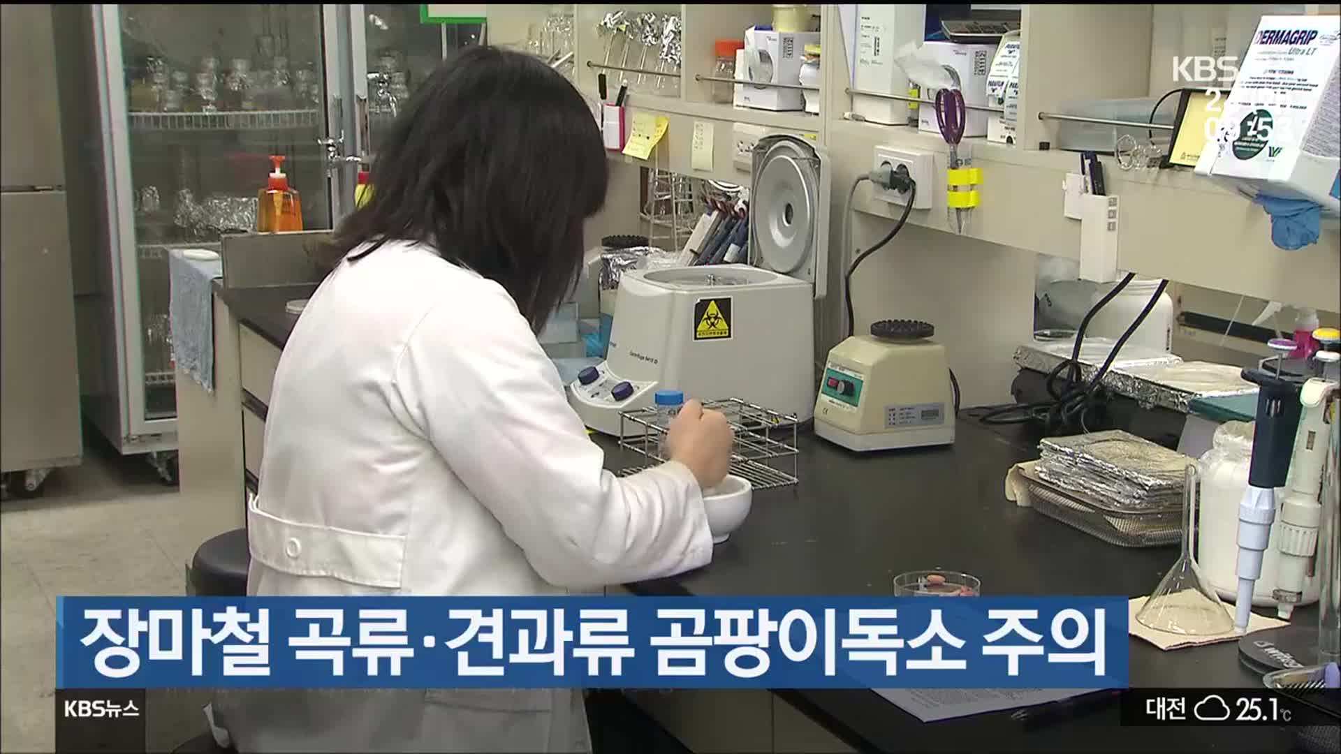 장마철 곡류·견과류 곰팡이독소 주의