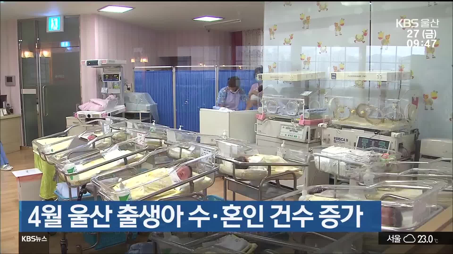 4월 울산 출생아 수·혼인 건수 증가
