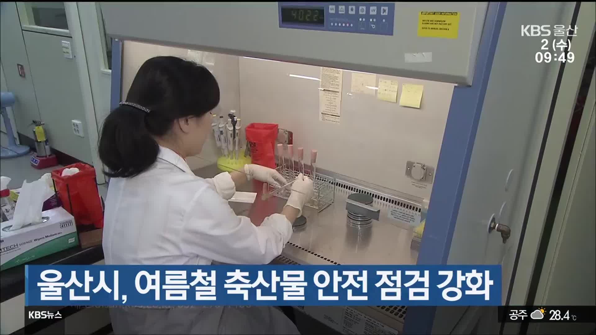 울산시, 여름철 축산물 안전 점검 강화