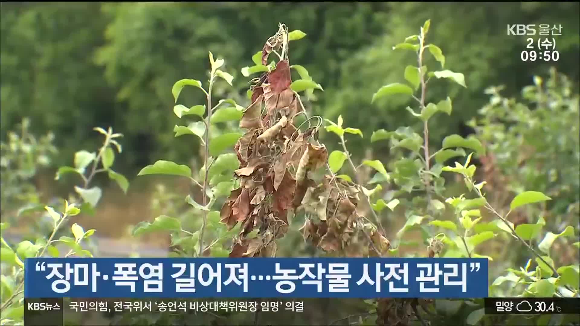 “장마·폭염 길어져…농작물 사전 관리”