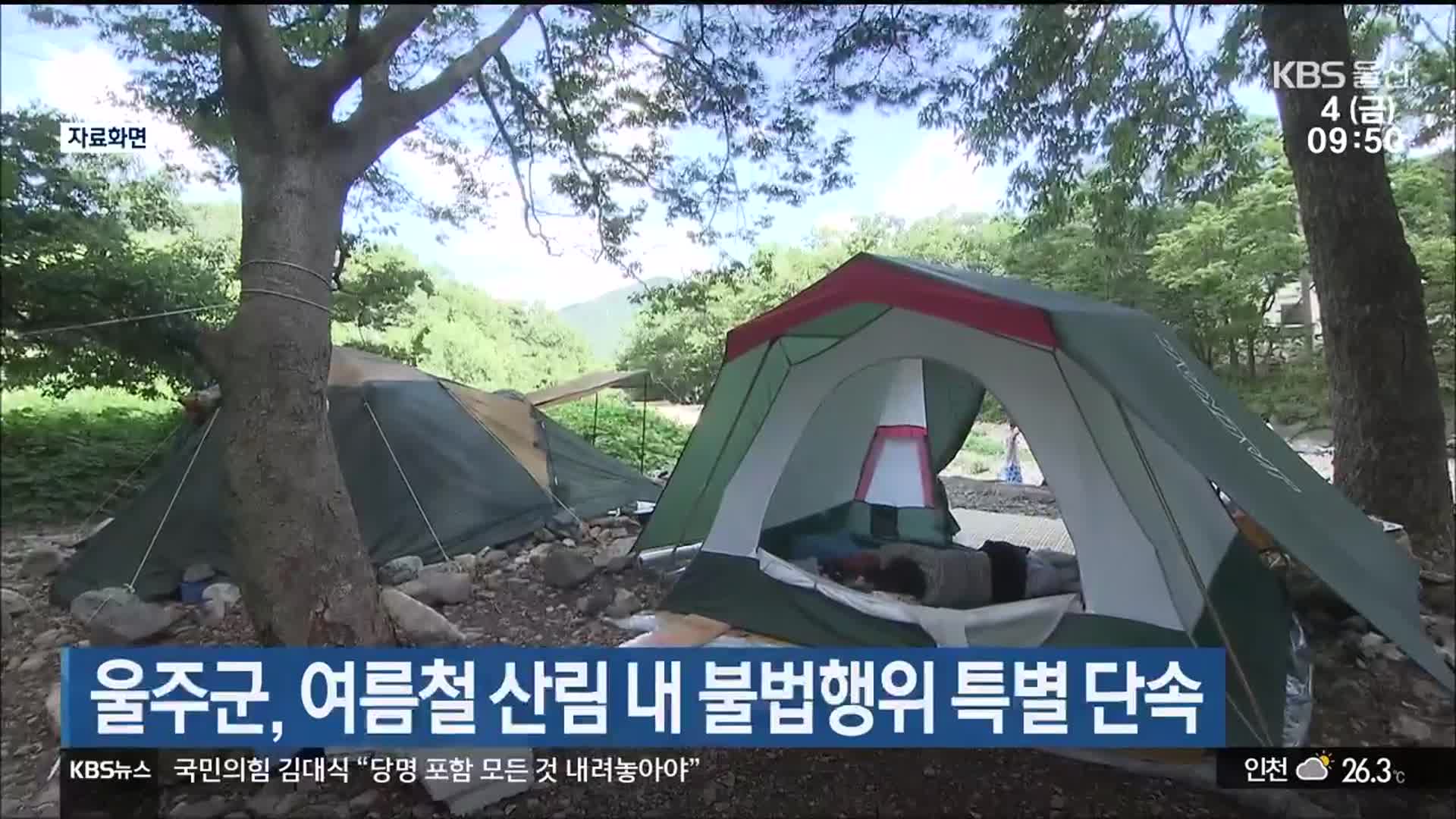 울주군, 여름철 산림 내 불법행위 특별 단속