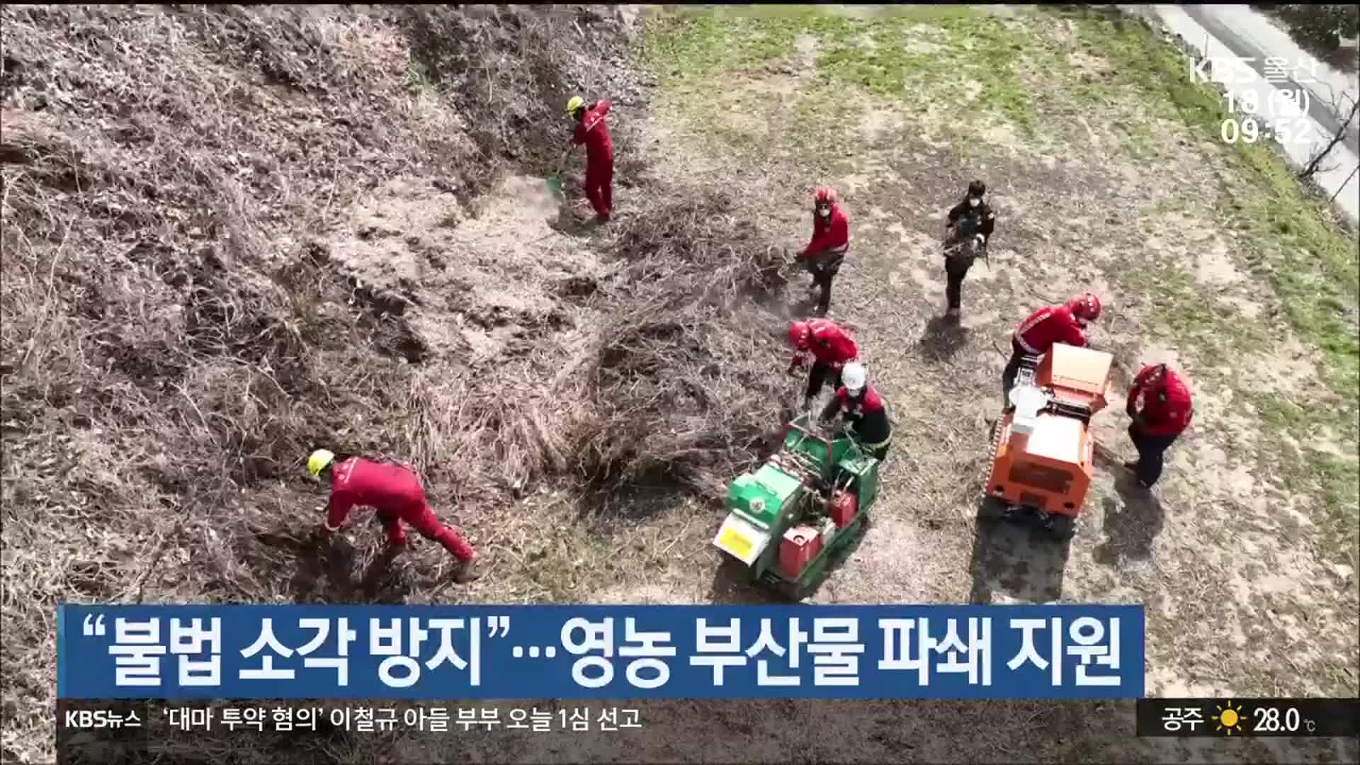 “불법 소각 방지”…영농 부산물 파쇄 지원