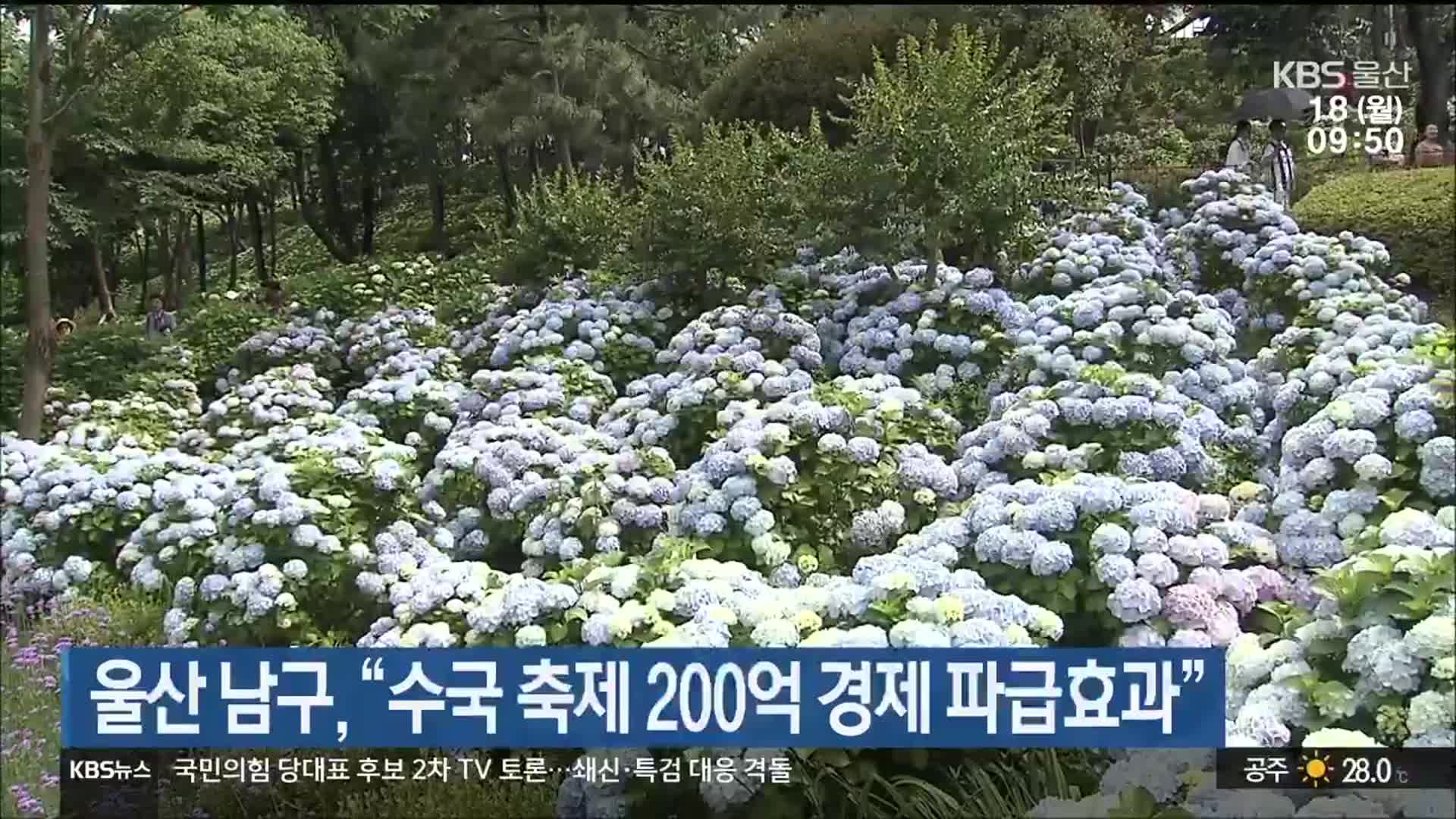울산 남구 “수국 축제 200억 경제 파급효과”