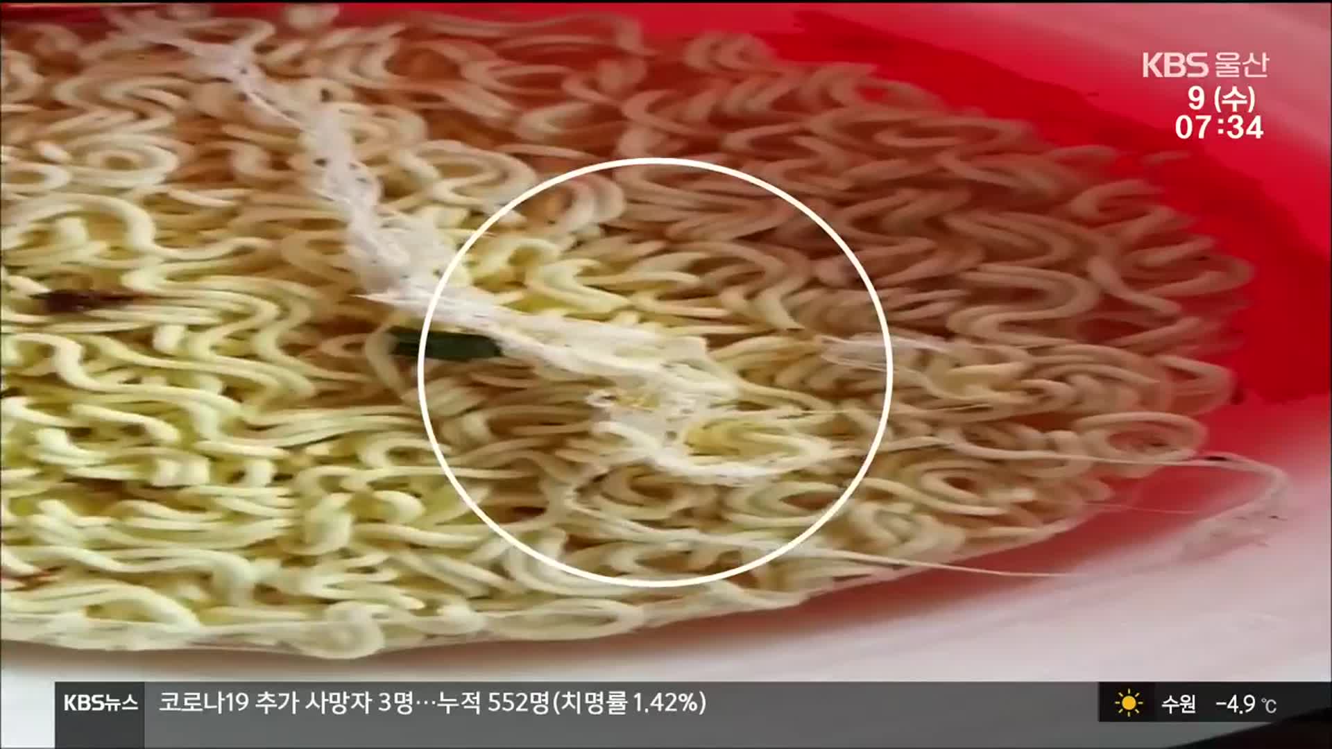 “라면에서 살아있는 애벌레가 꿈틀”