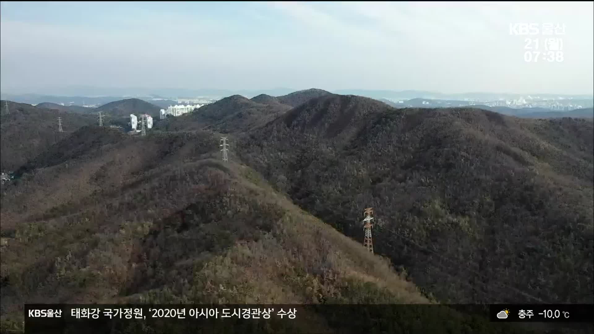 산불 지역을 벚나무단지로…3년간 복원 본격화