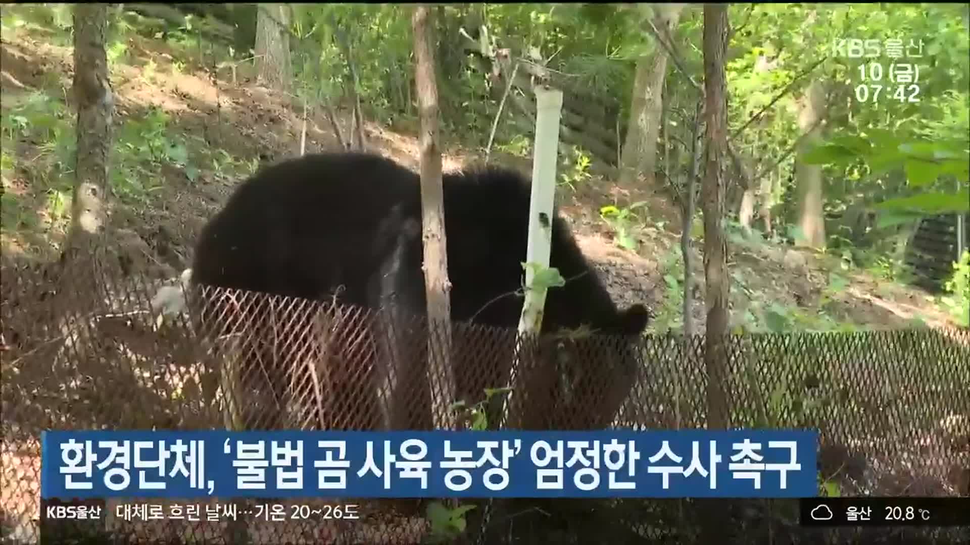 환경단체, ‘불법 곰 사육 농장’ 엄정한 수사 촉구