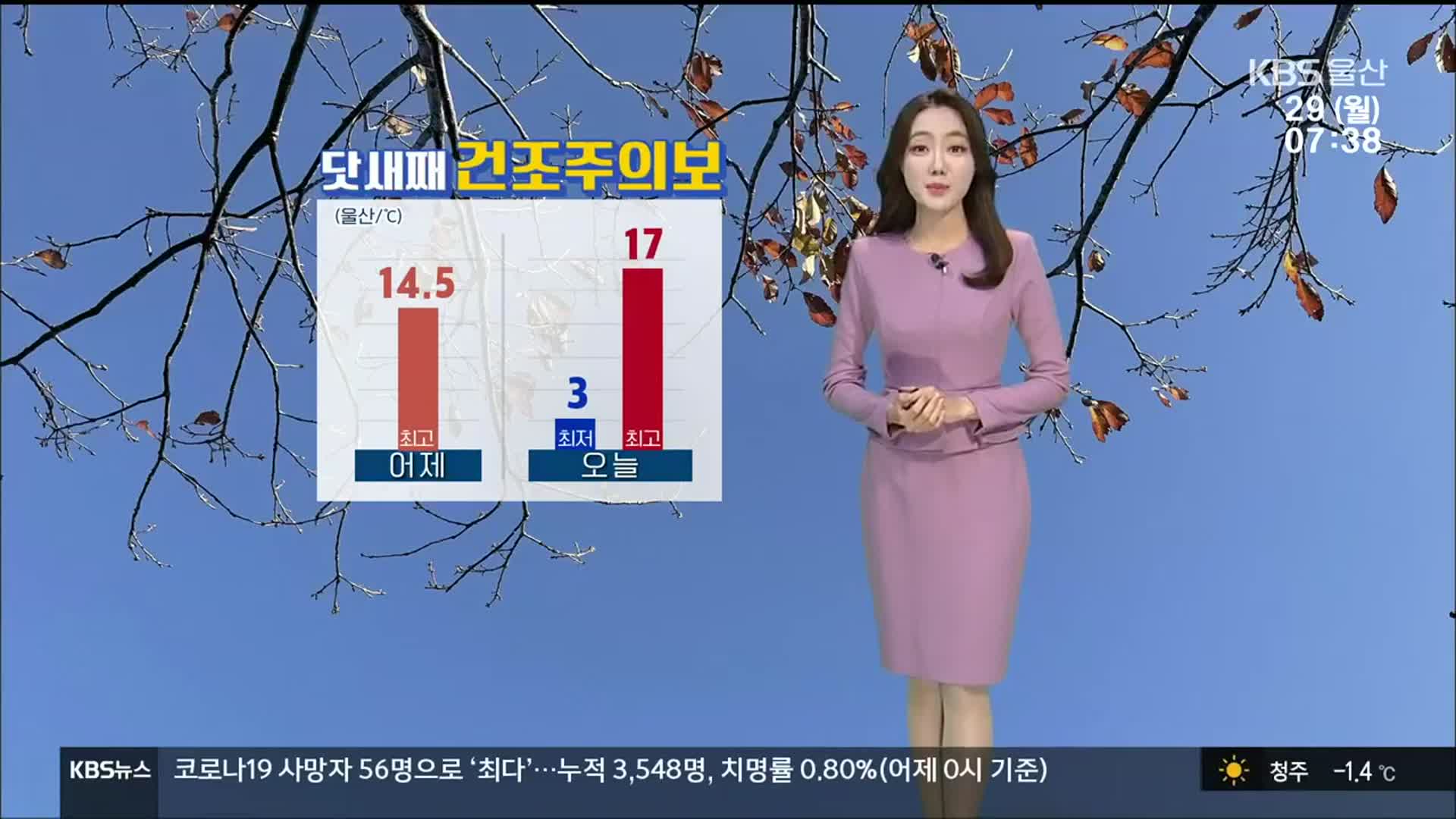 [날씨] 울산 닷새째 건조주의보…강풍에 화재 주의!