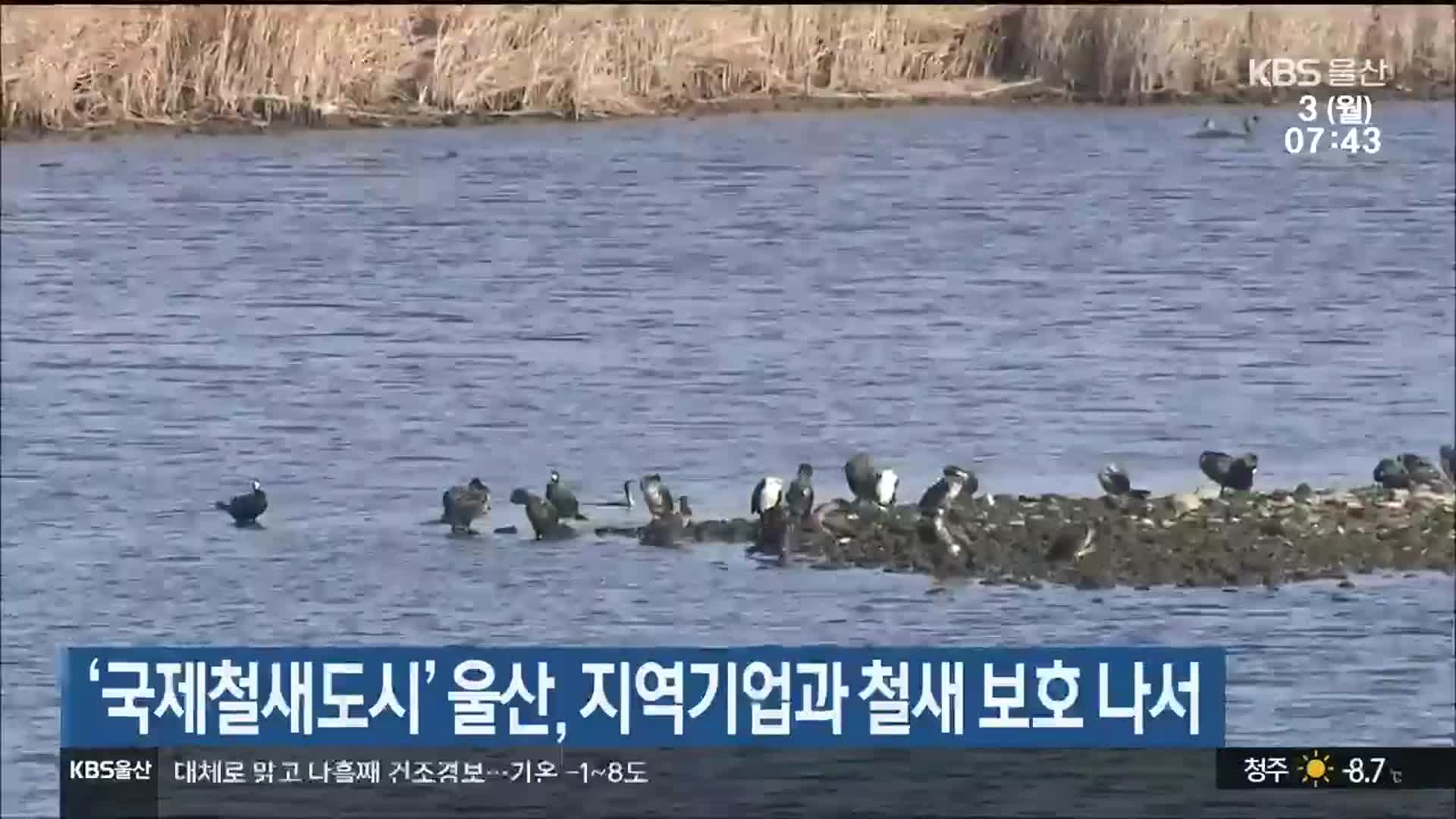 ‘국제철새도시’ 울산, 지역기업과 철새 보호 나서