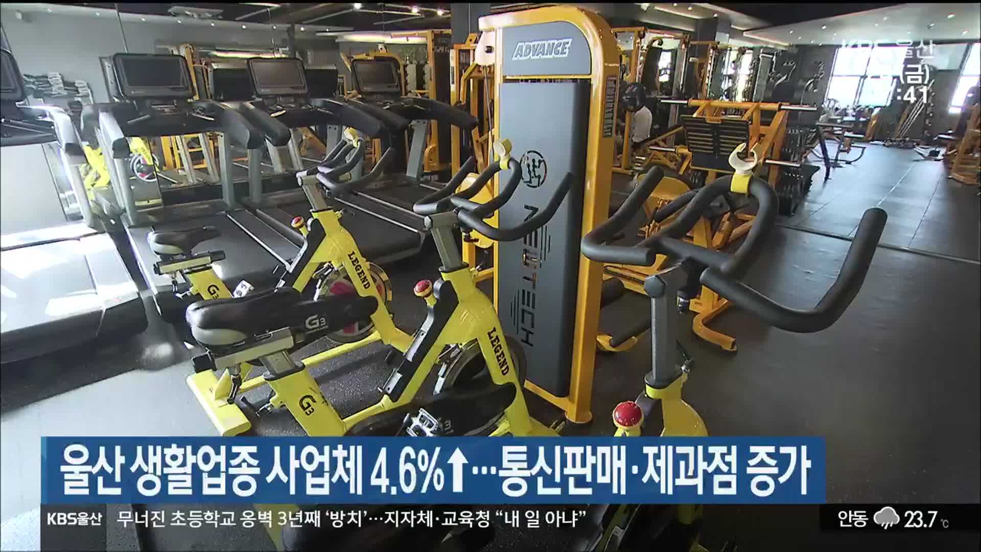 울산 생활업종 사업체 4.6%↑…통신판매·제과점 증가