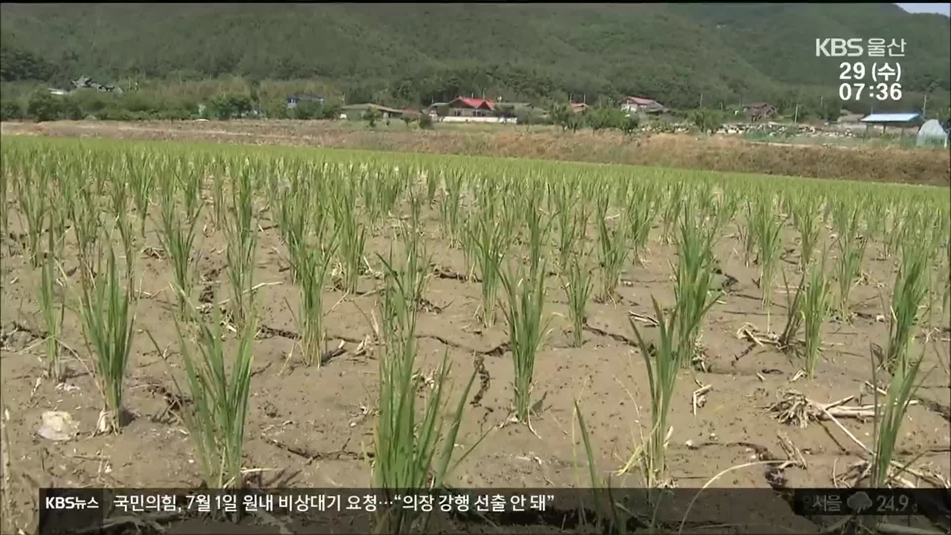 장맛비가 오긴 했는데…“큰 도움 안돼요”