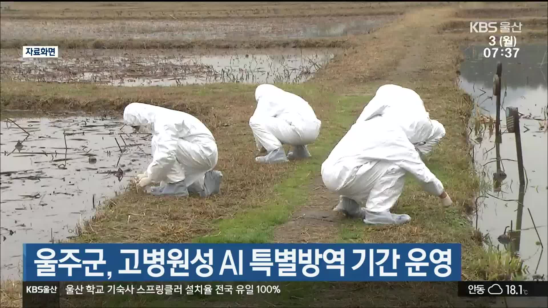 울주군, 고병원성 AI 특별방역 기간 운영