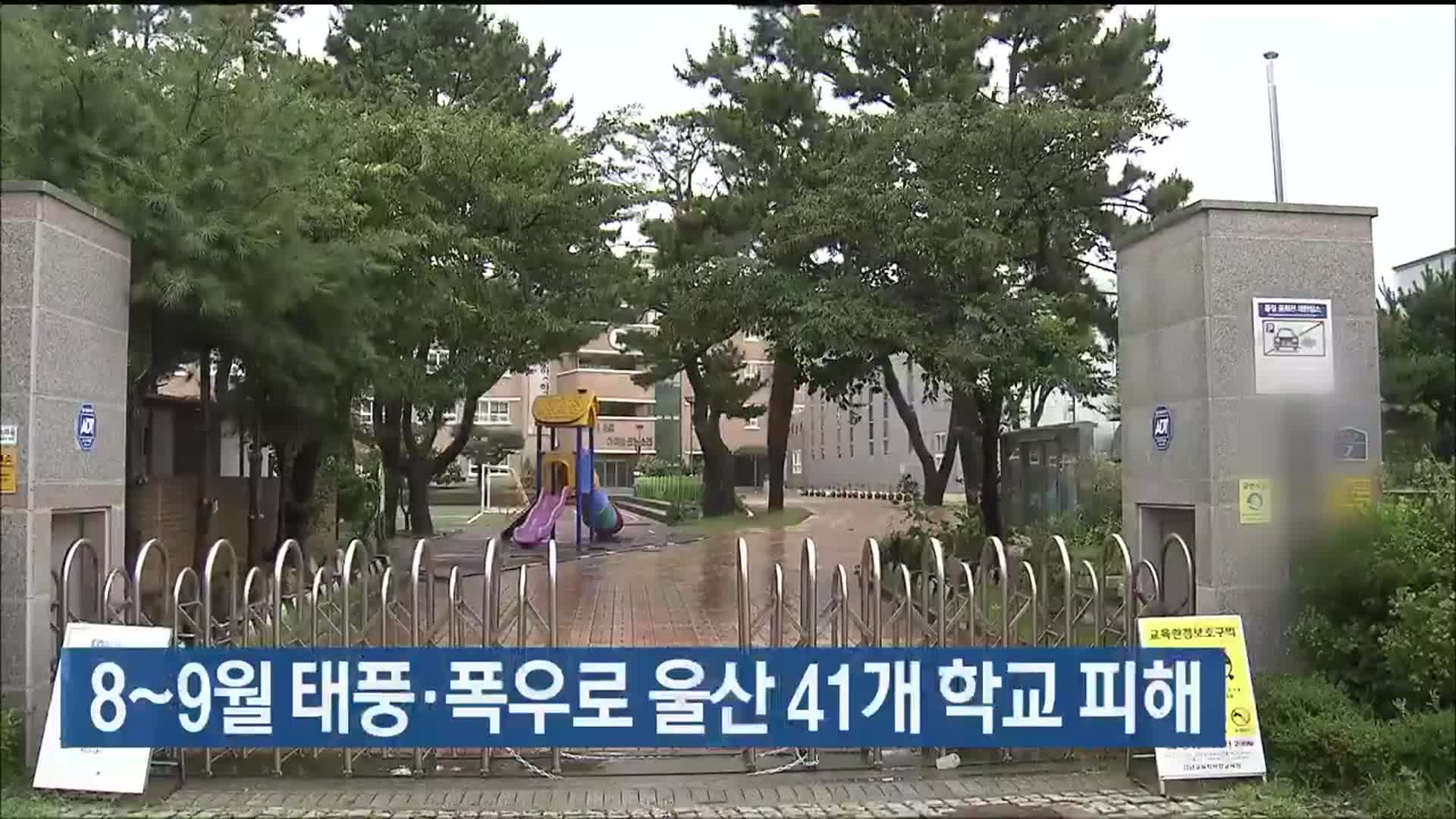 8~9월 태풍·폭우로 울산 41개 학교 피해