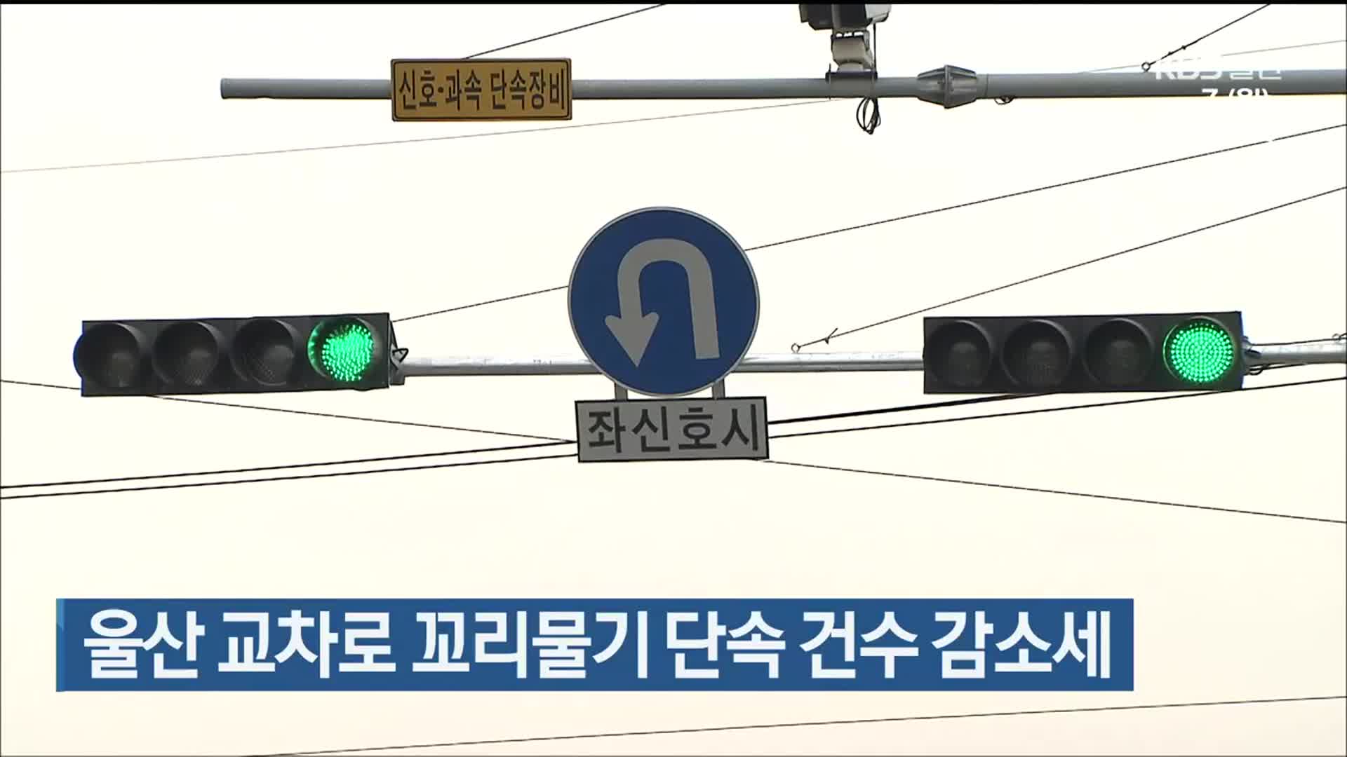 울산 교차로 꼬리물기 단속 건수 감소세