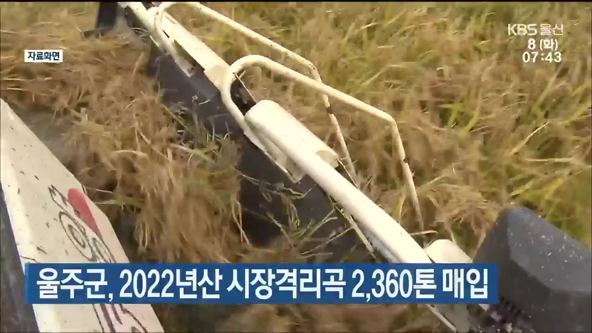 울주군, 2022년산 시장격리곡 2,360톤 매입