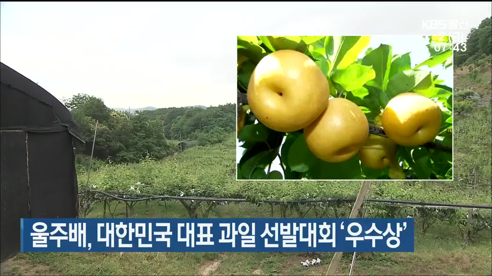 울주배, 대한민국 대표 과일 선발대회 ‘우수상’