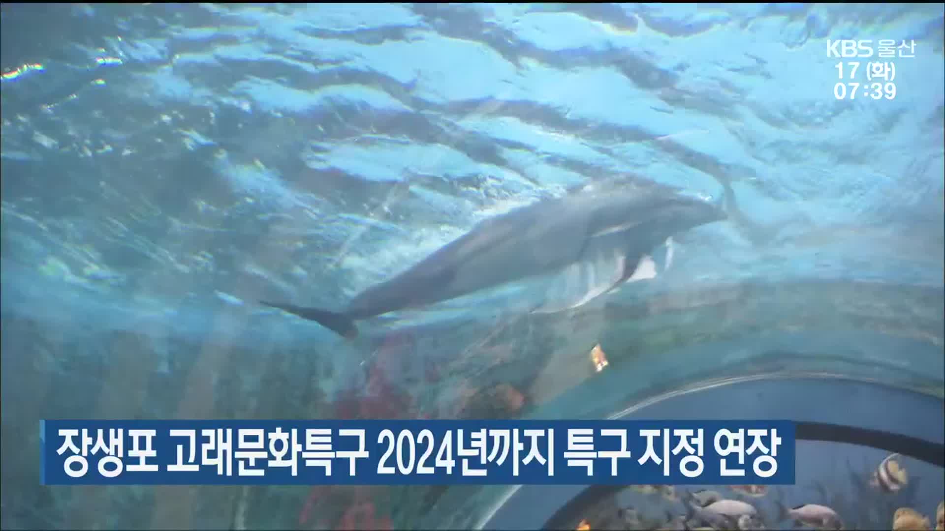 장생포 고래문화특구 2024년까지 특구 지정 연장