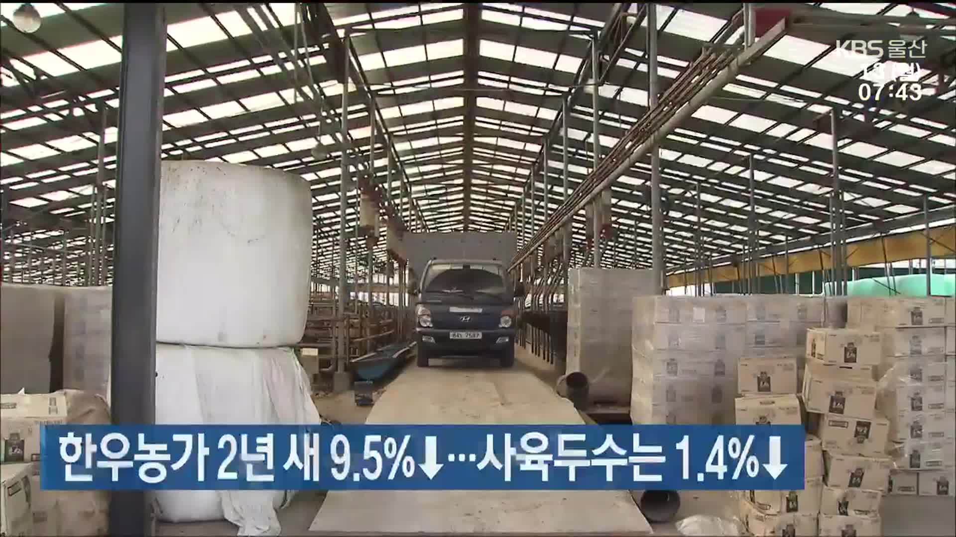 한우농가 2년 새 9.5%↓…사육두수는 1.4%↓