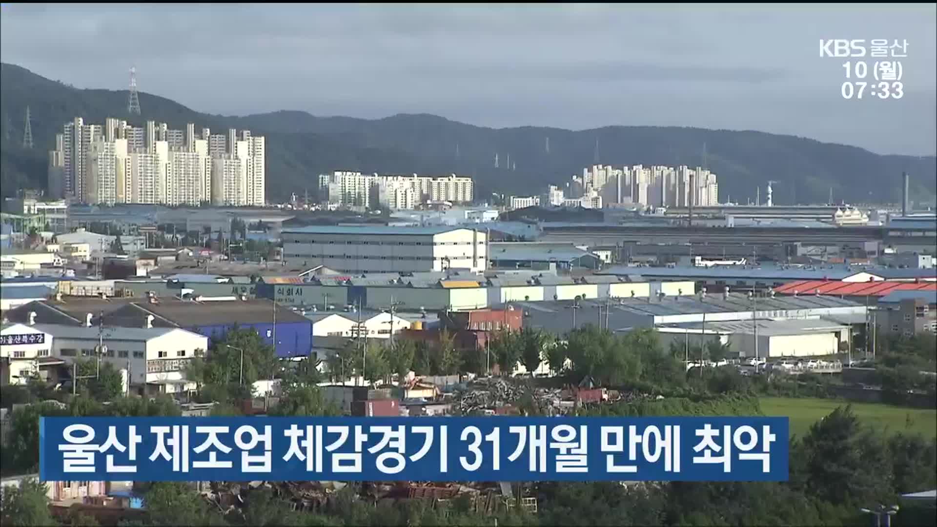 울산 제조업 체감경기 31개월 만에 최악