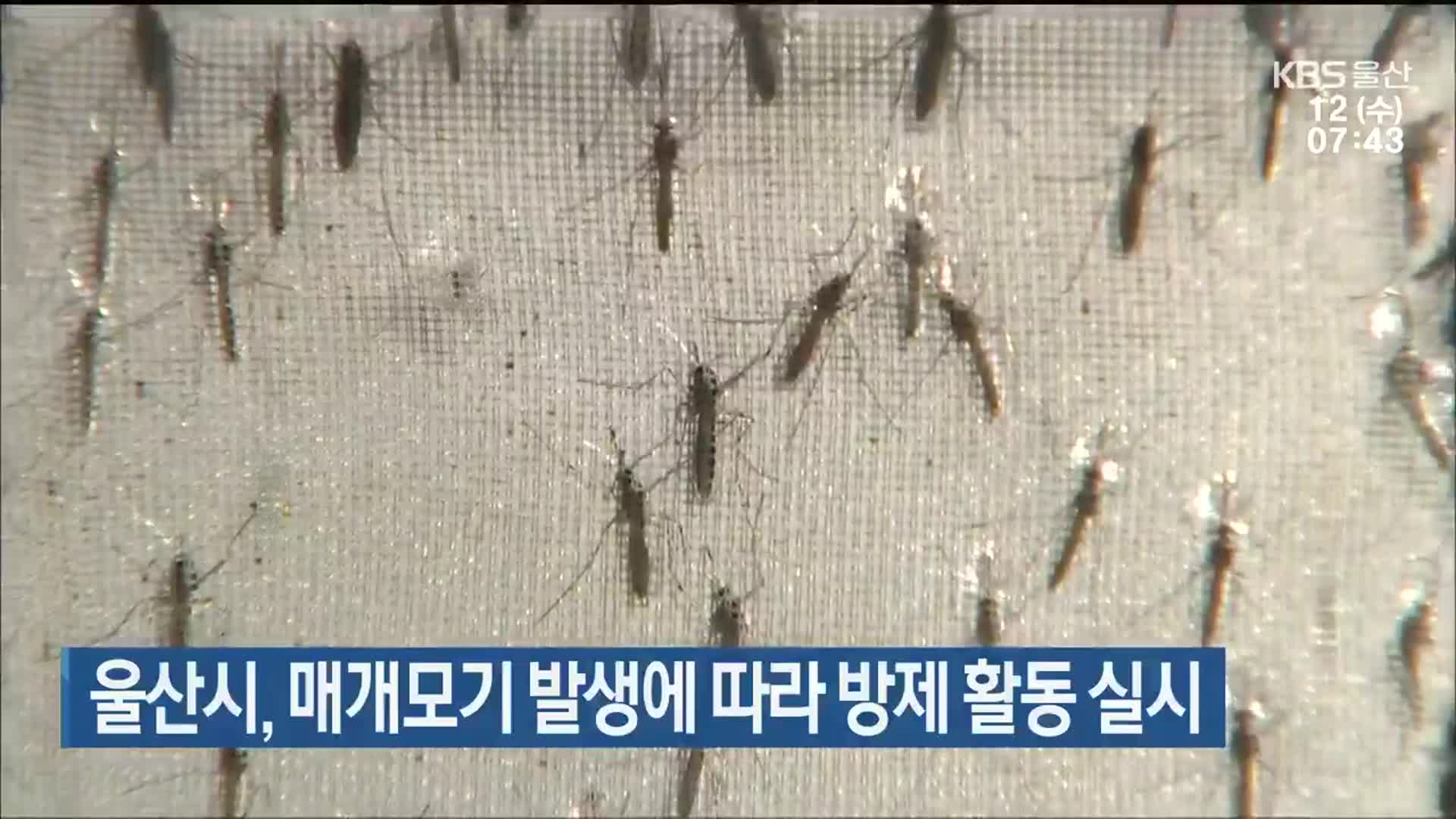 울산시, 매개모기 발생에 따라 방제활동 실시