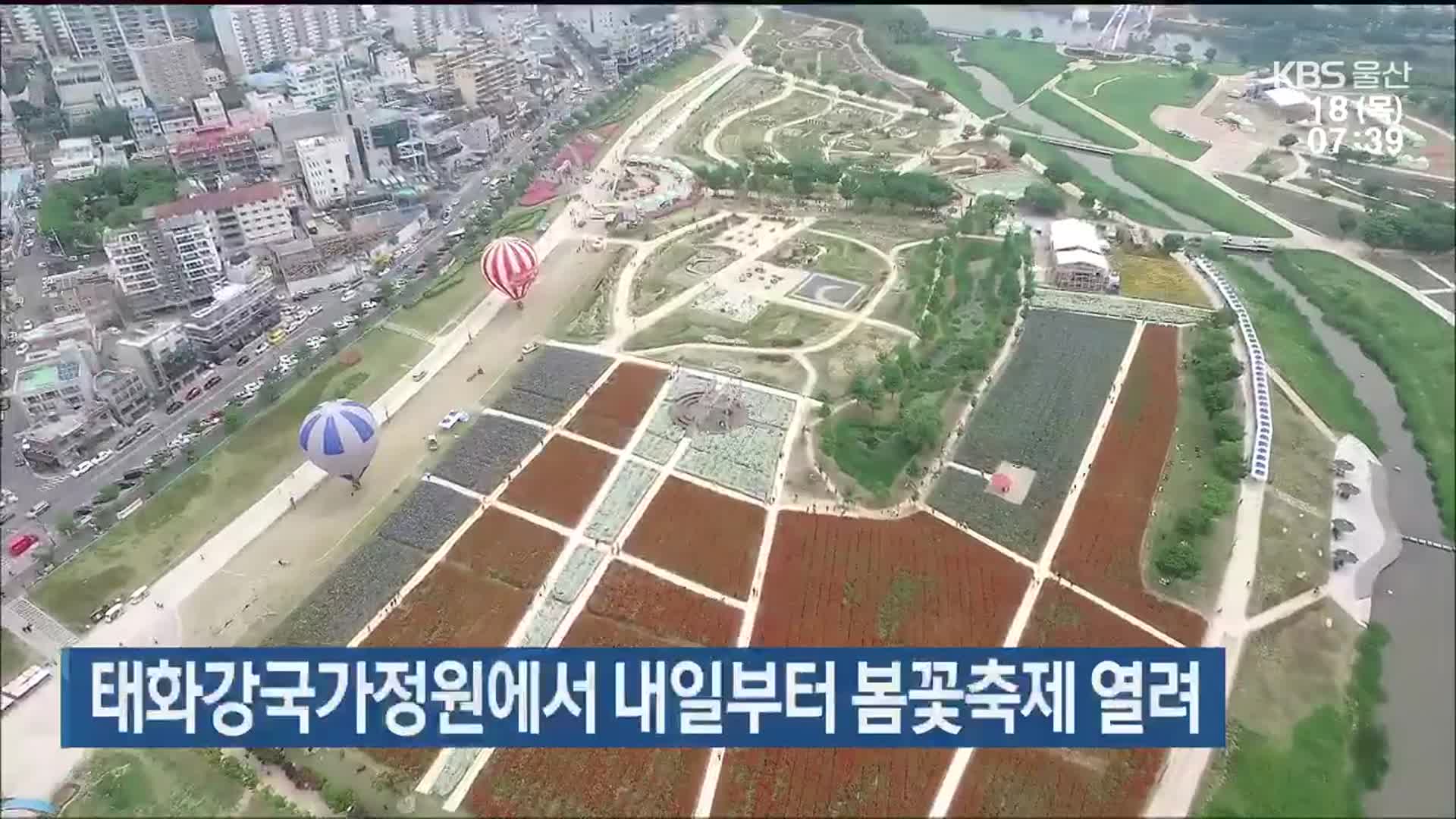 태화강국가정원에서 내일부터 봄꽃축제 열려