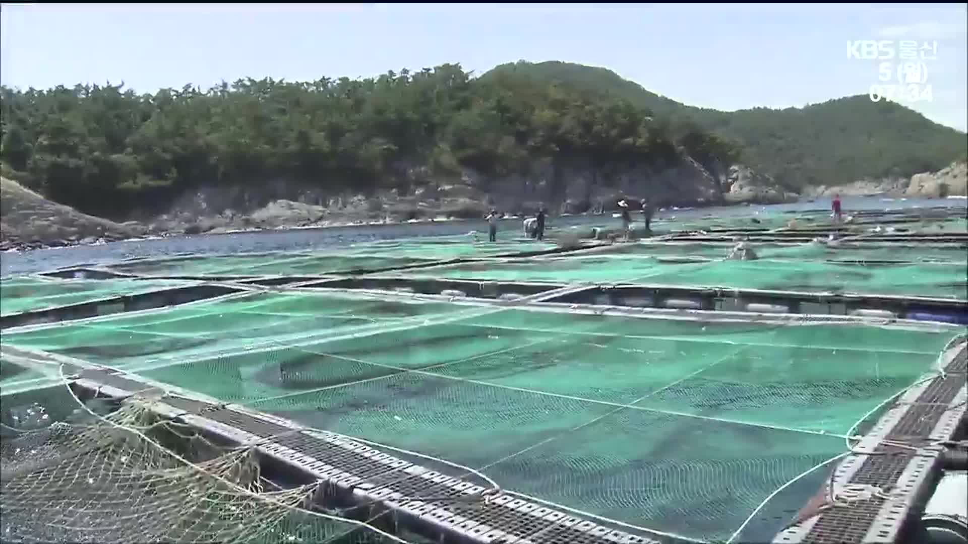 올 여름 바다도 끓는다…양식장 피해 우려