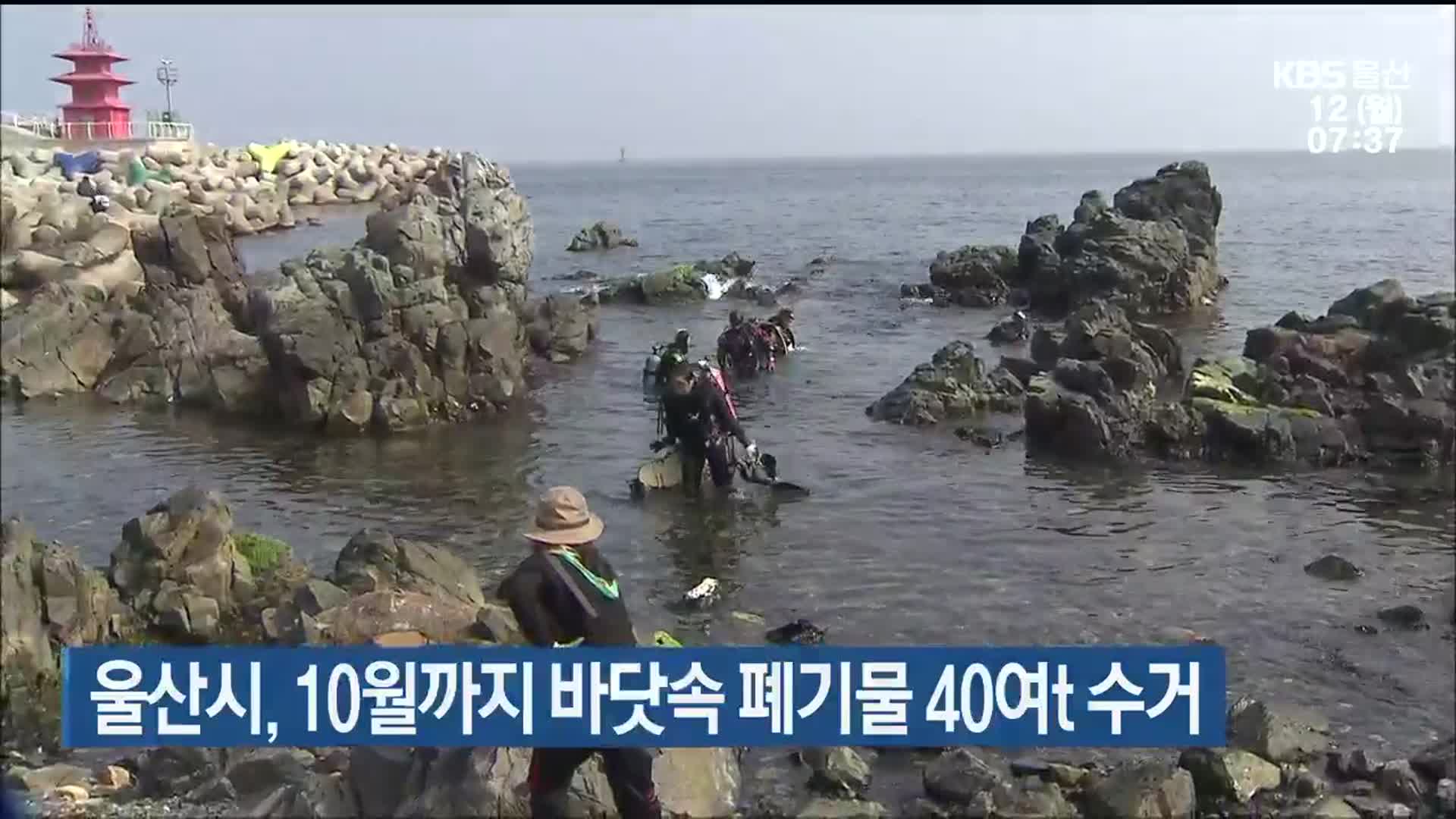 울산시, 10월까지 바닷속 폐기물 40여t 수거