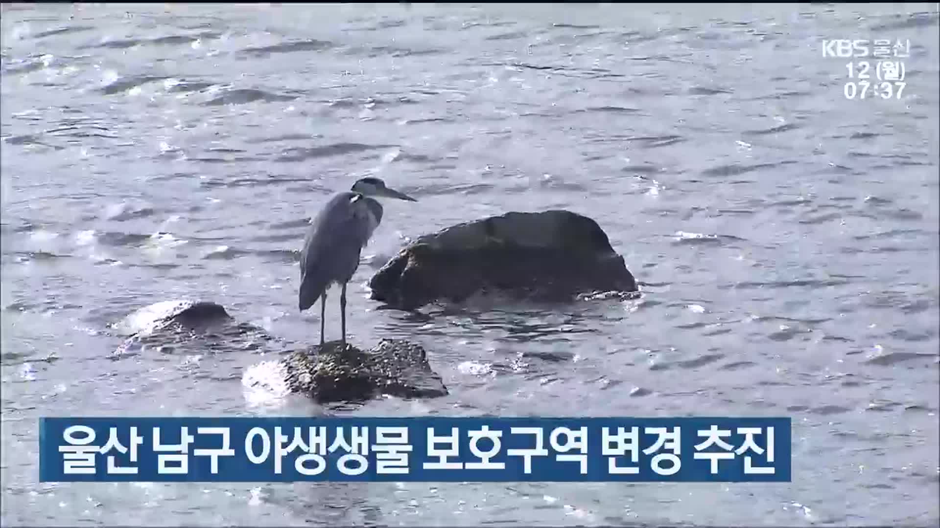 울산 남구 야생생물 보호구역 변경 추진