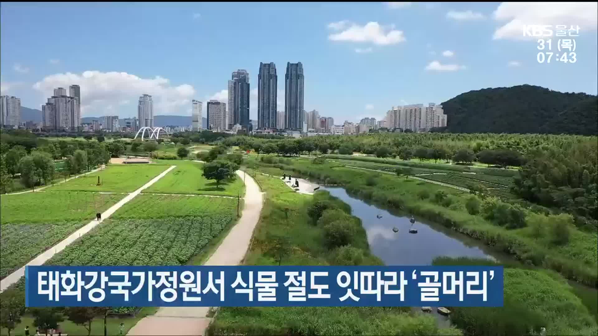 태화강국가정원서 식물 절도 잇따라 ‘골머리’