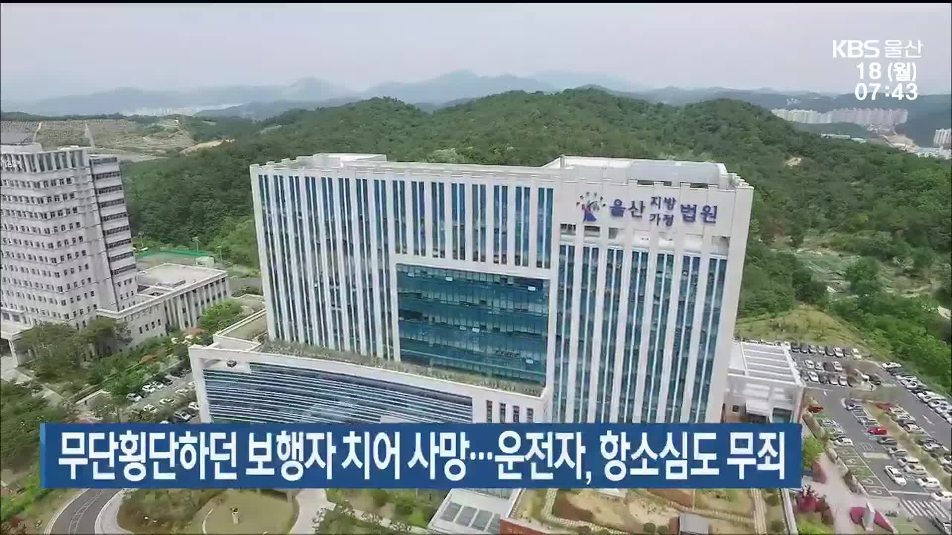 무단횡단하던 보행자 치어 사망…운전자, 항소심도 무죄