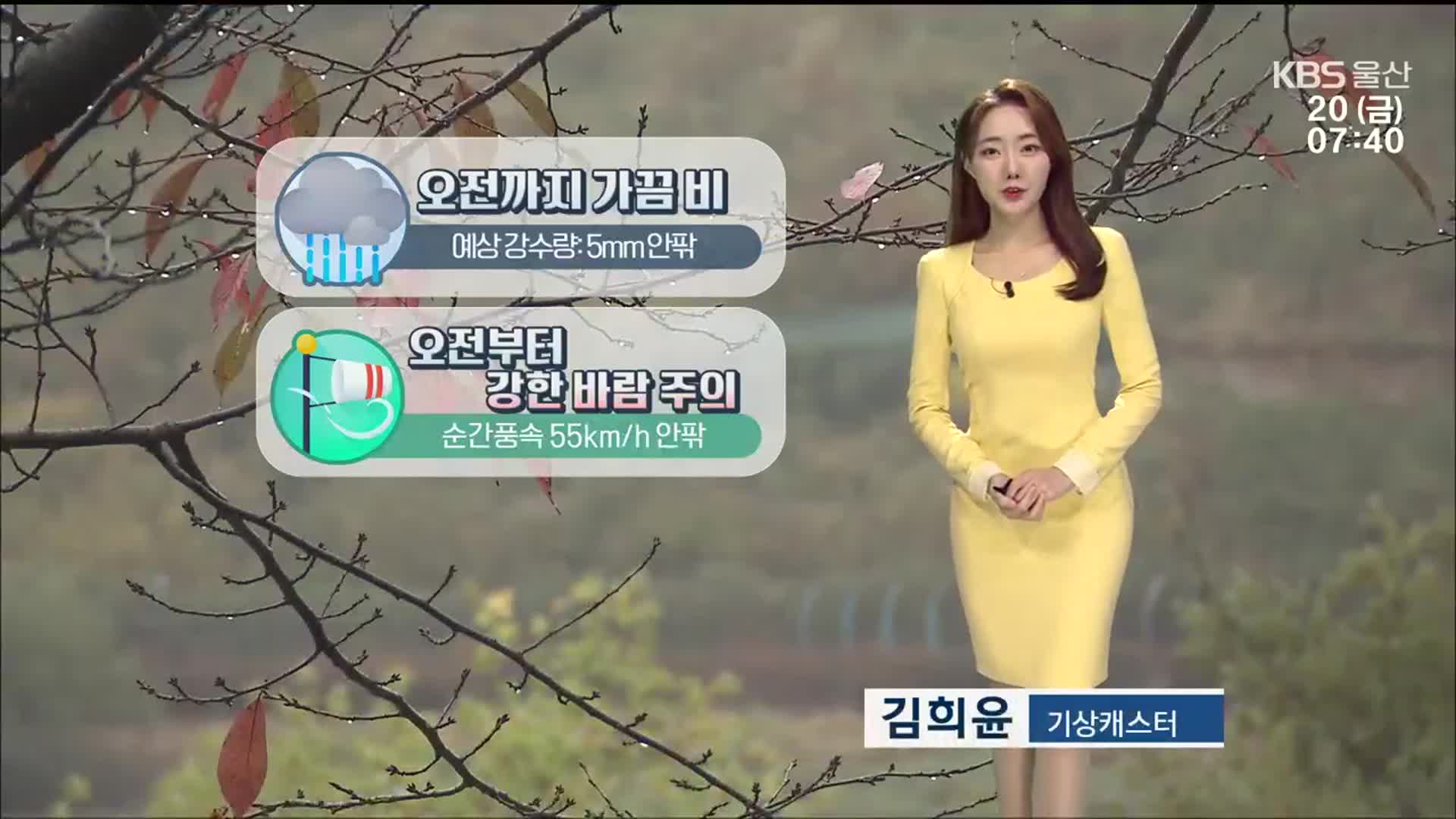 [날씨] 울산 오전까지 가끔 비…강한 바람 주의