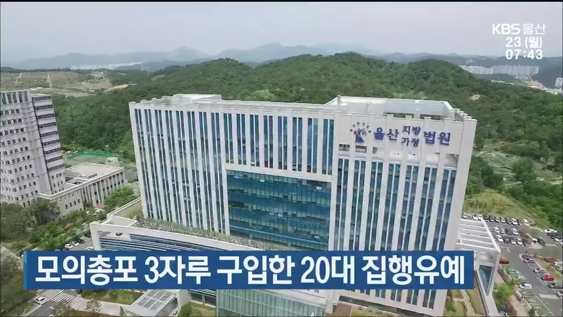 모의총포 3자루 구입한 20대 집행유예