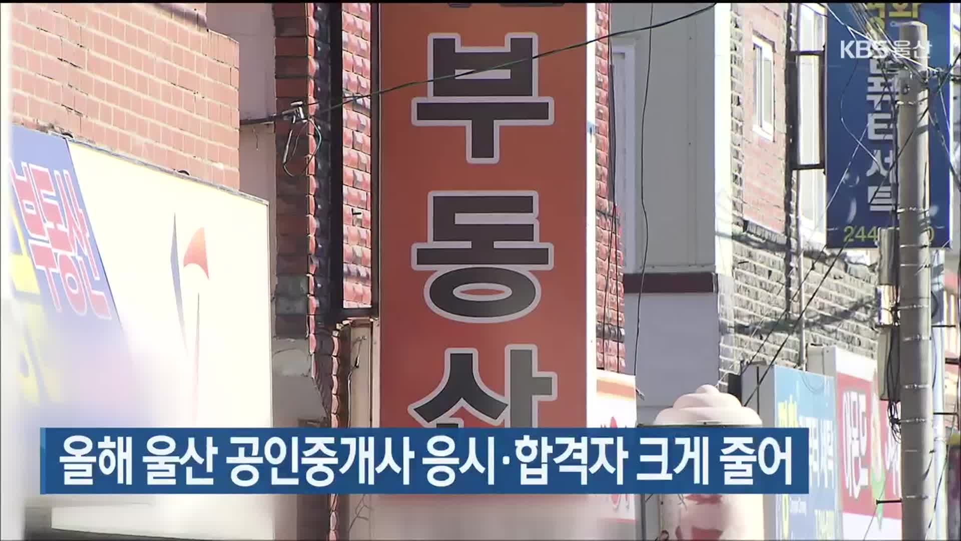 올해 울산 공인중개사 응시·합격자 크게 줄어
