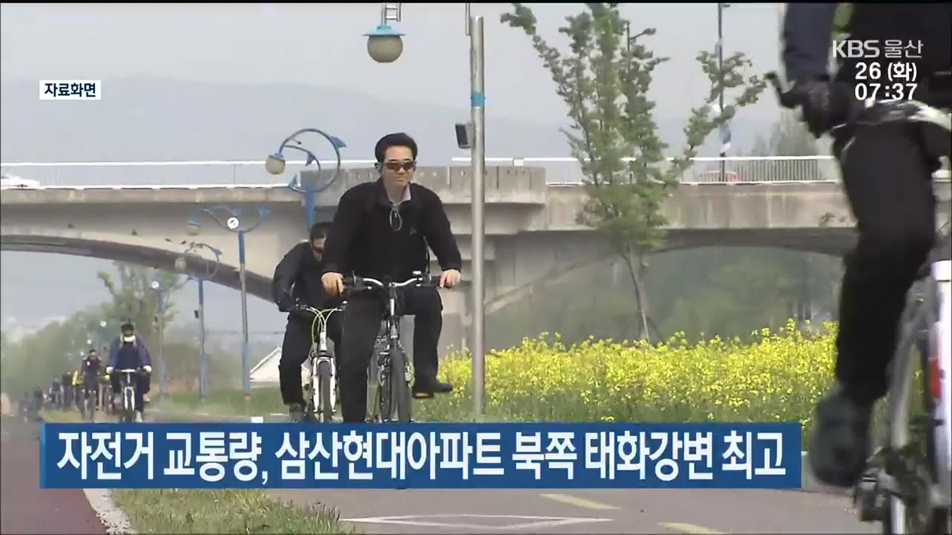 자전거 교통량, 삼산현대아파트 북쪽 태화강변 최고