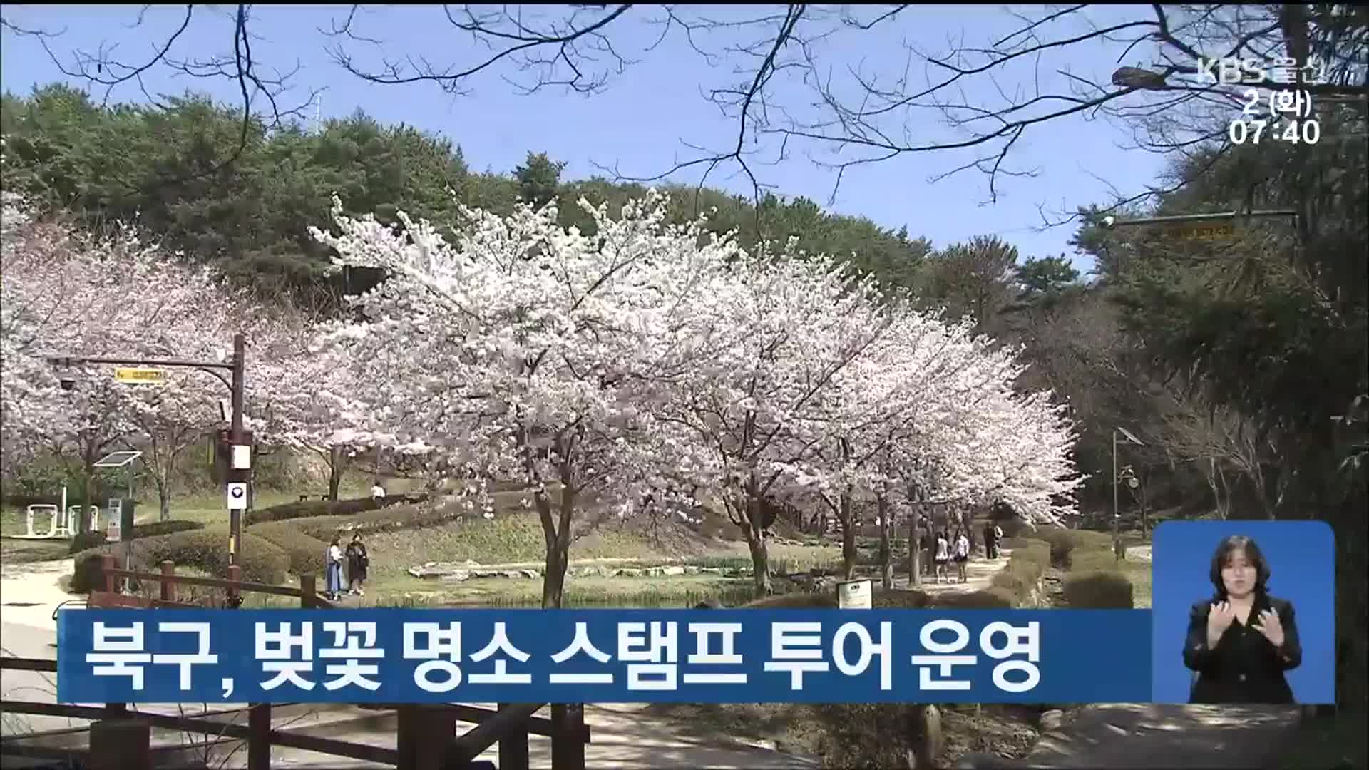 울산 북구, 벚꽃 명소 스탬프 투어 운영