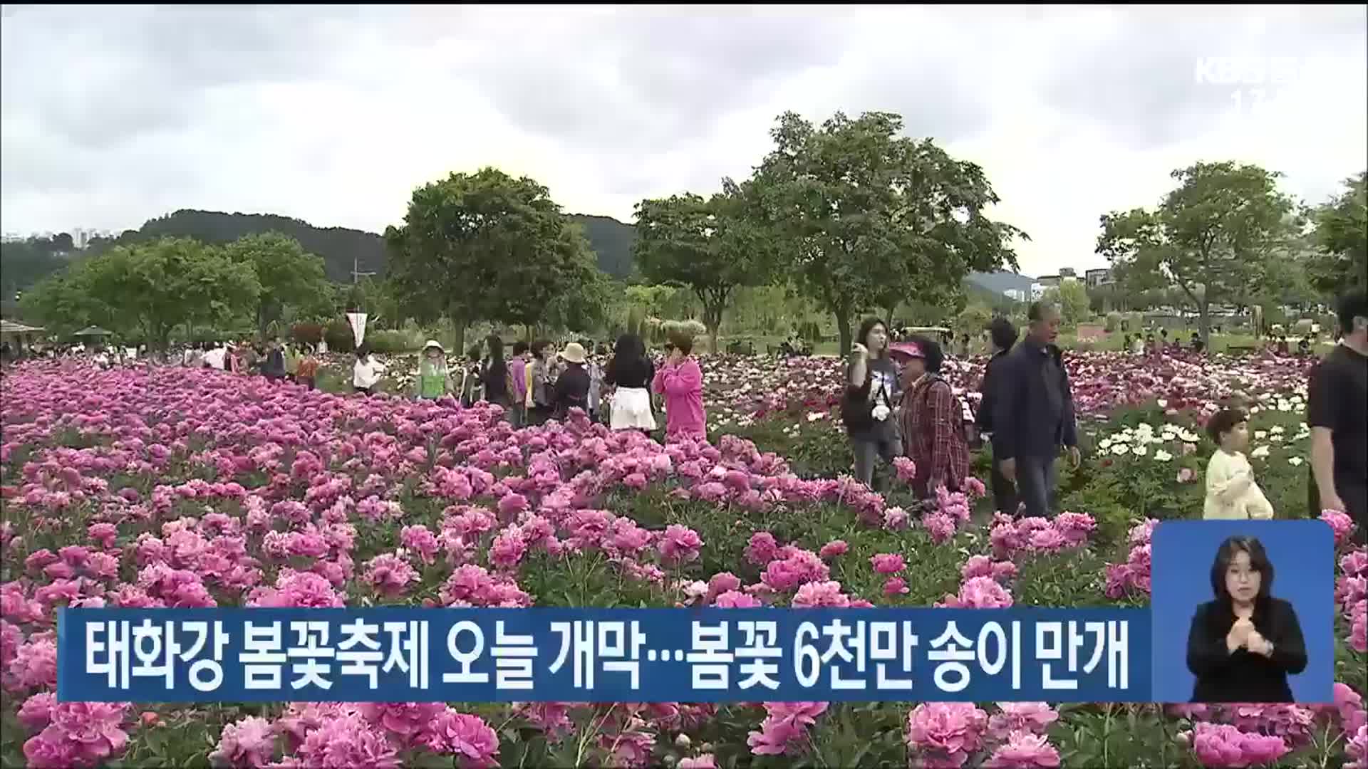 태화강 봄꽃축제 오늘 개막…봄꽃 6천만 송이 만개