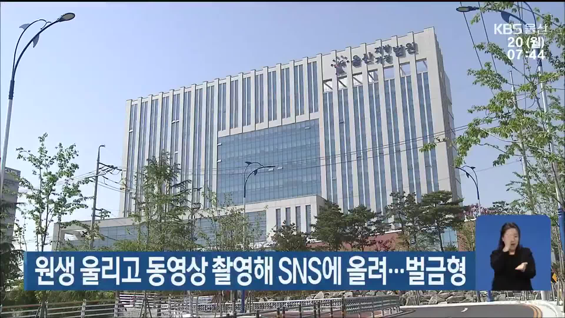 원생 울리고 동영상 촬영해 SNS에 올려…벌금형