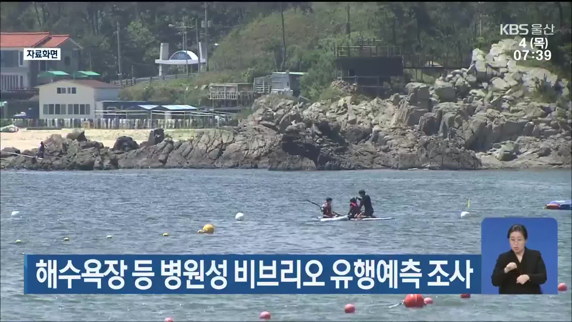 해수욕장 등 병원성 비브리오 유행예측 조사