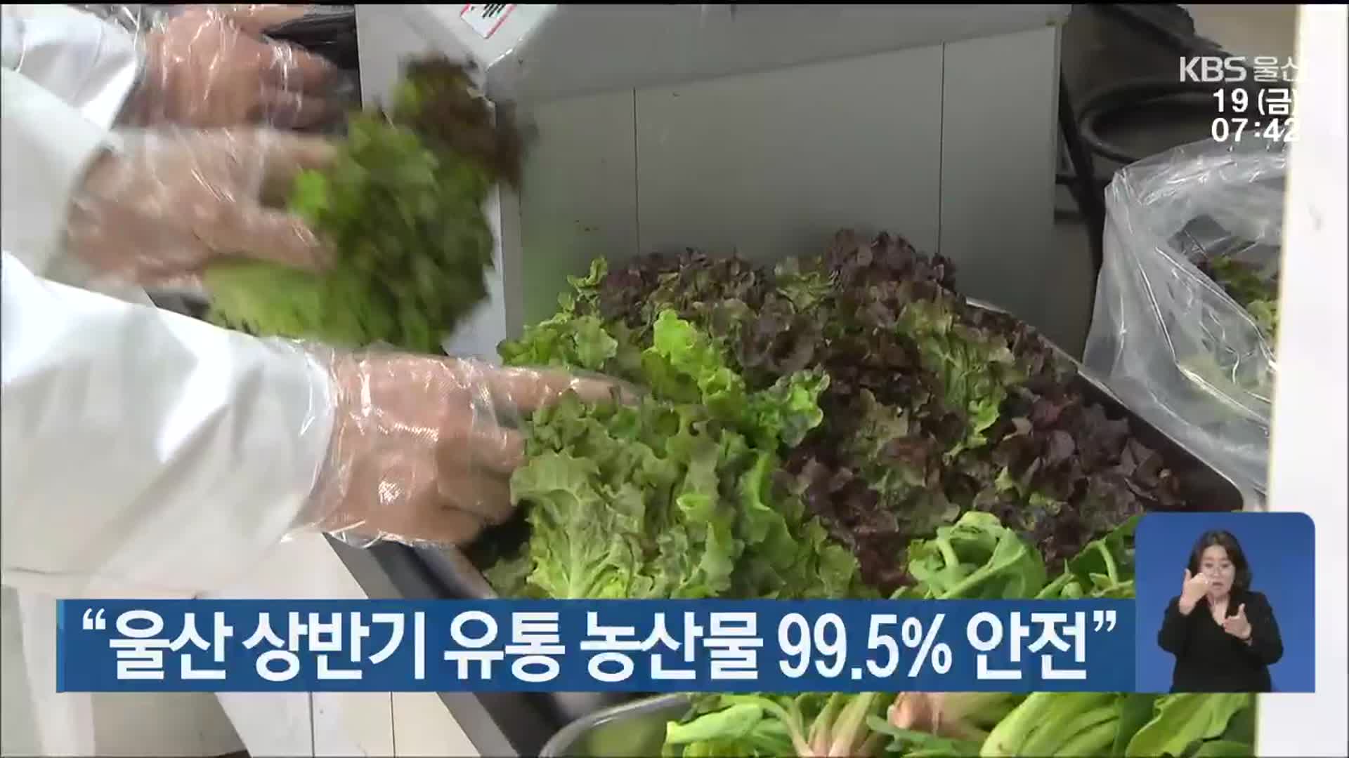 “울산 상반기 유통 농산물 99.5% 안전”