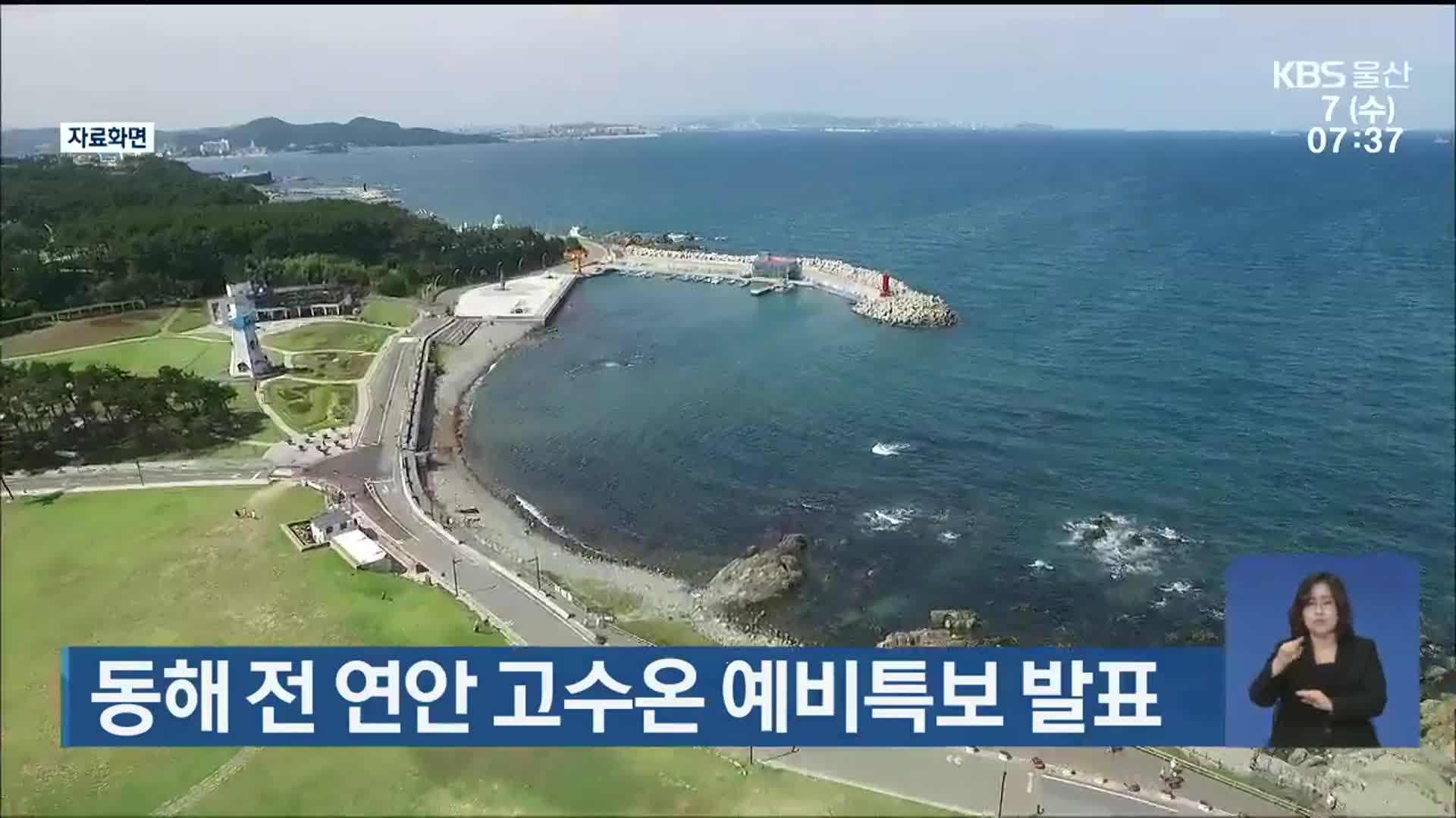 동해 전 연안 고수온 예비특보 발표