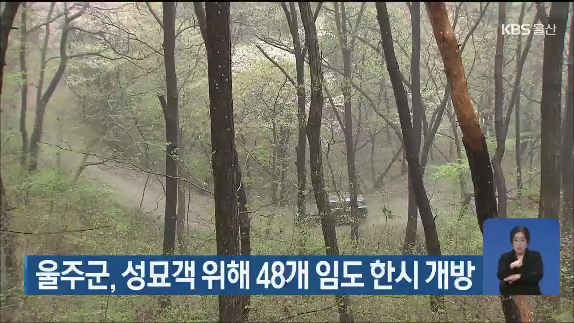 울주군, 성묘객 위해 48개 임도 한시 개방