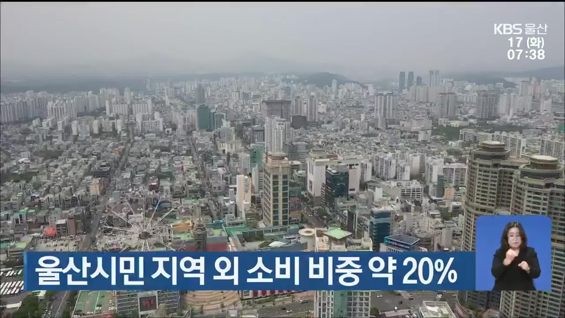 울산시민 지역 외 소비 비중 약 20%