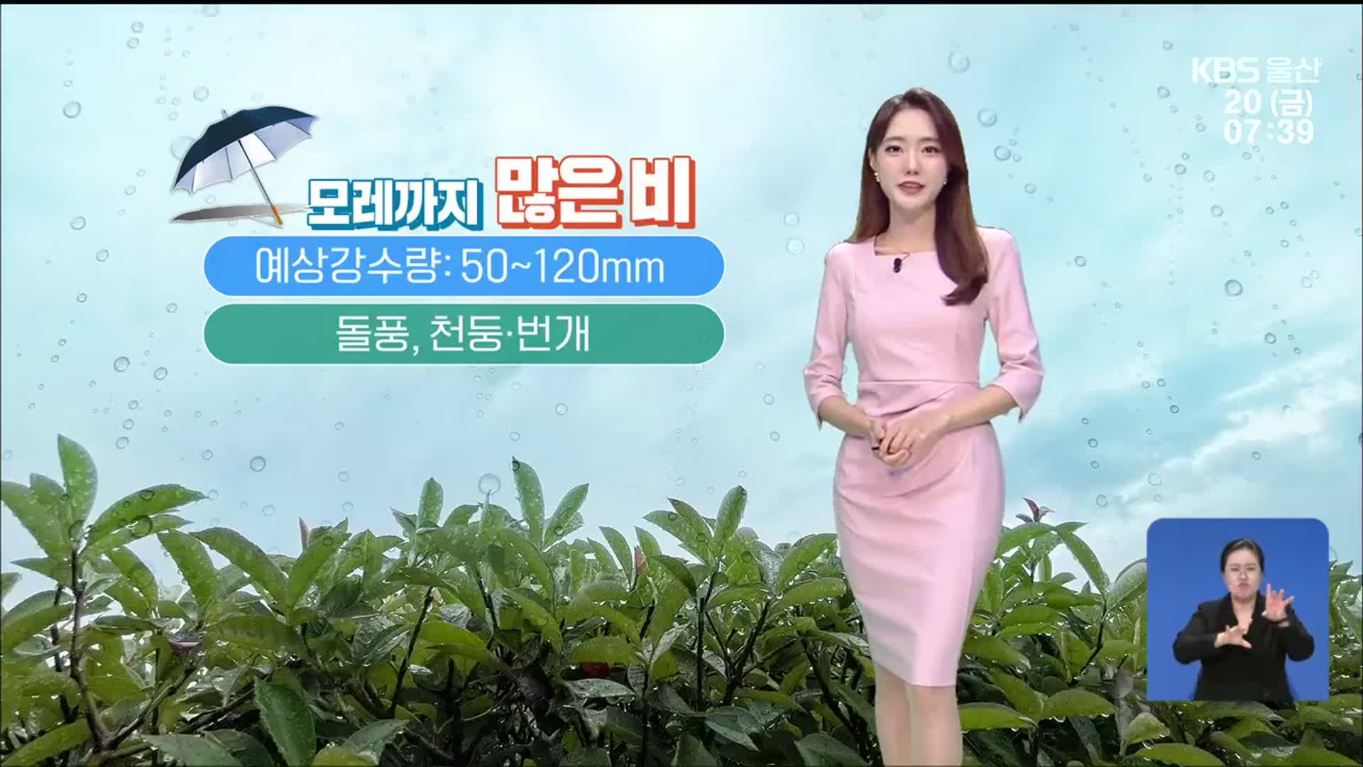 [날씨] 울산 모레까지 많은 비…천둥·번개 주의