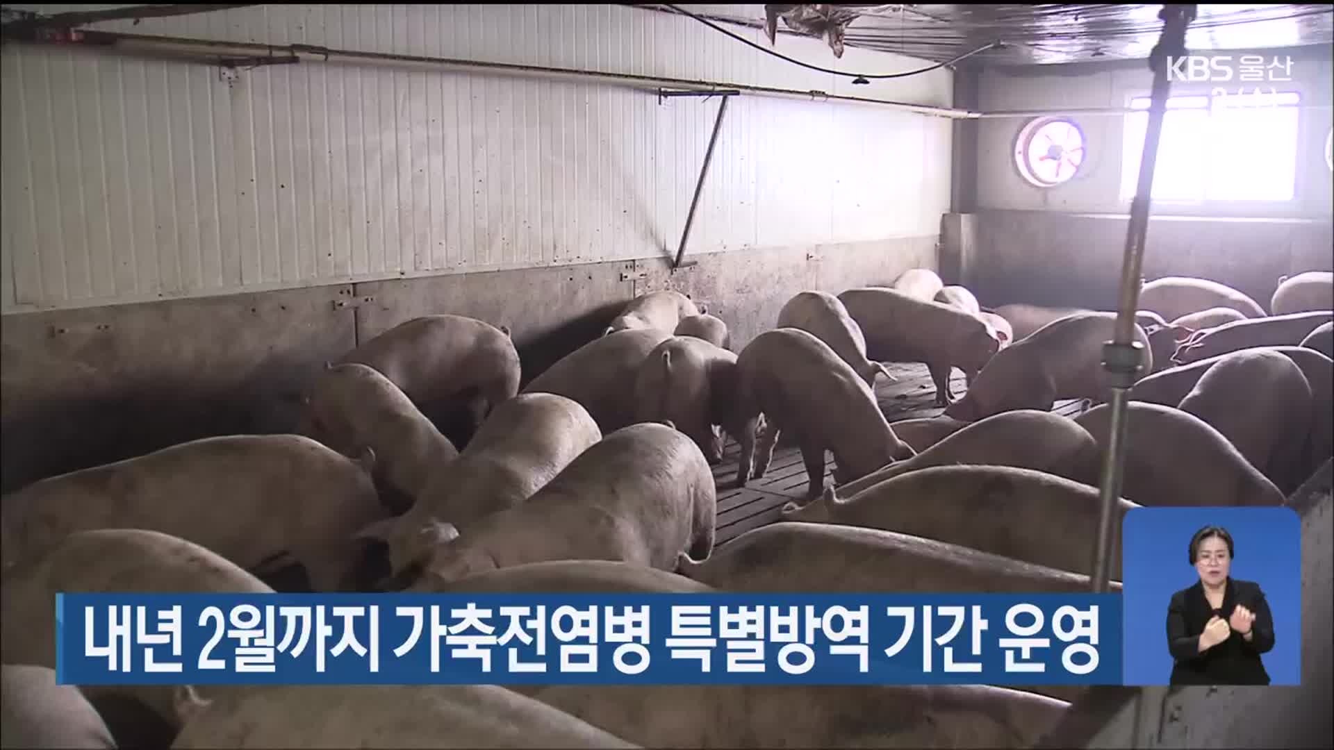 내년 2월까지 가축전염병 특별방역 기간 운영