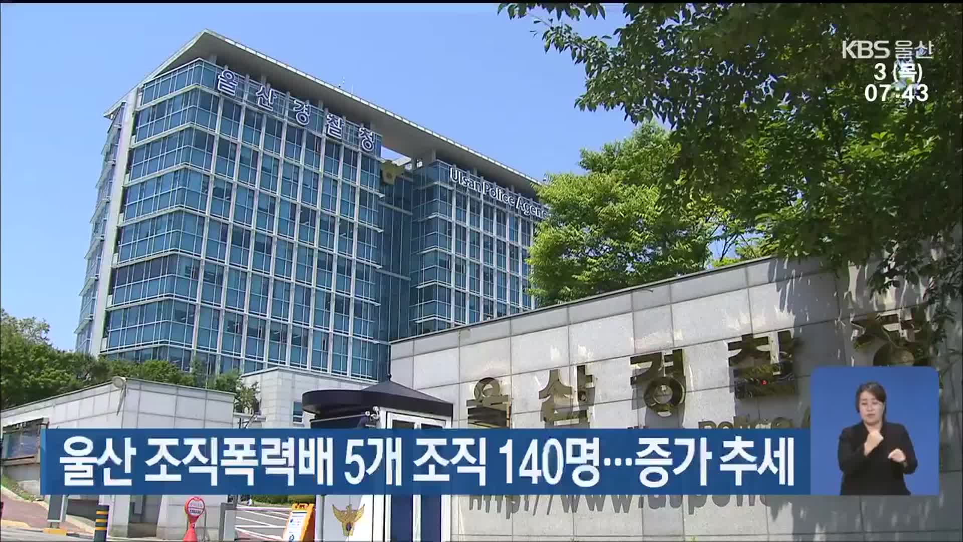 울산 조직폭력배 5개 조직 140명…증가 추세