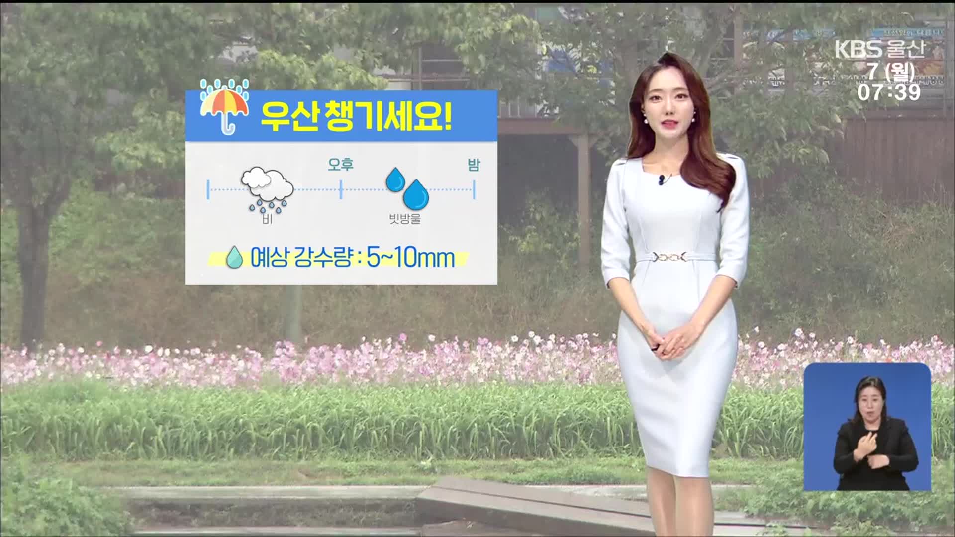 [날씨] 울산 밤까지 가끔 비…온종일 선선해요