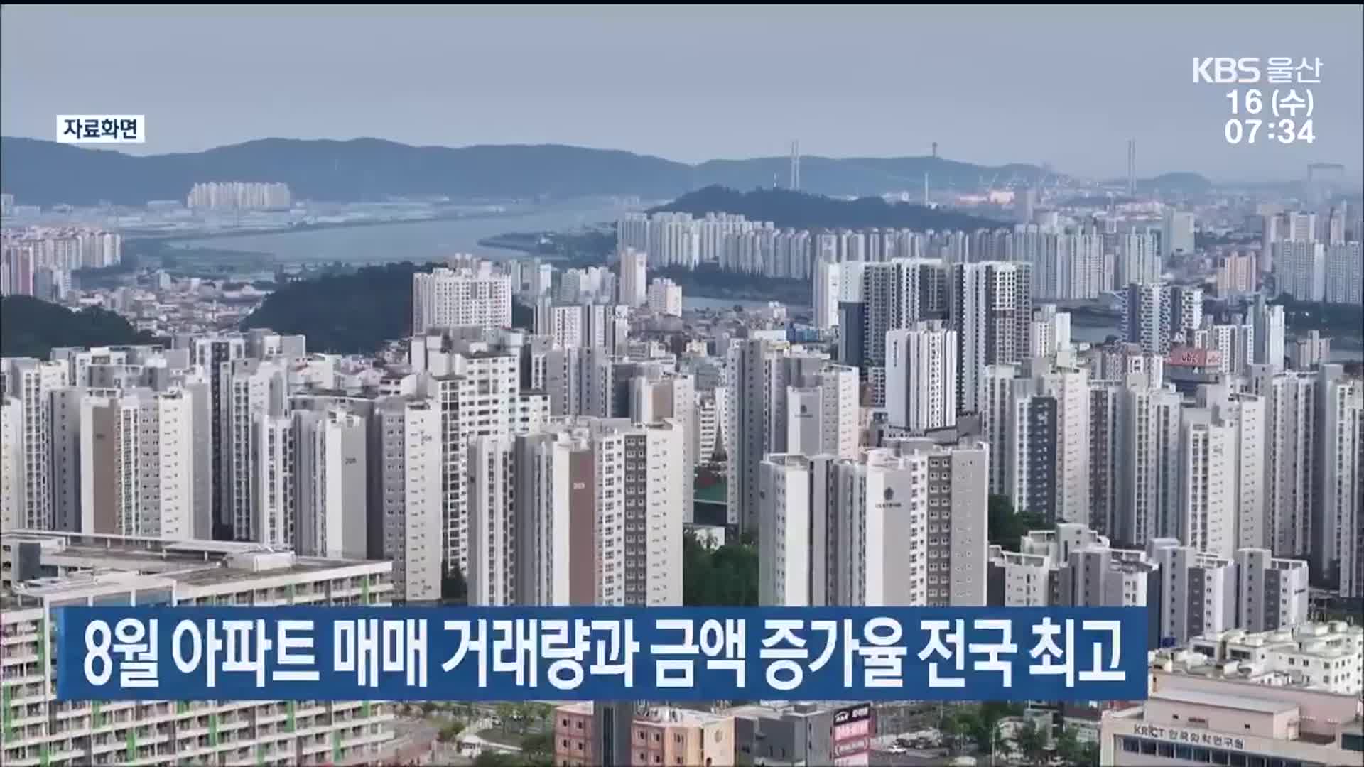 울산 8월 아파트 매매 거래량과 금액 증가율 전국 최고