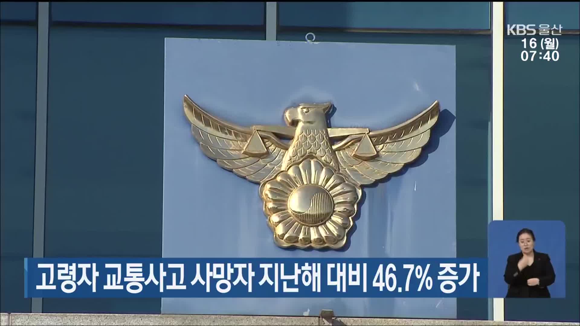 고령자 교통사고 사망자 지난해 대비 46.7% 증가